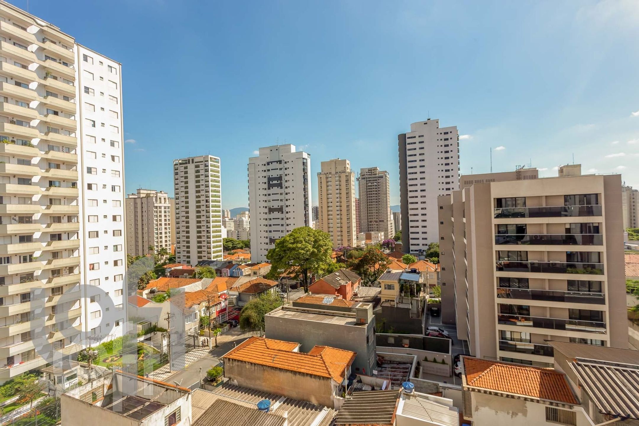 Imagem da propriedade 41