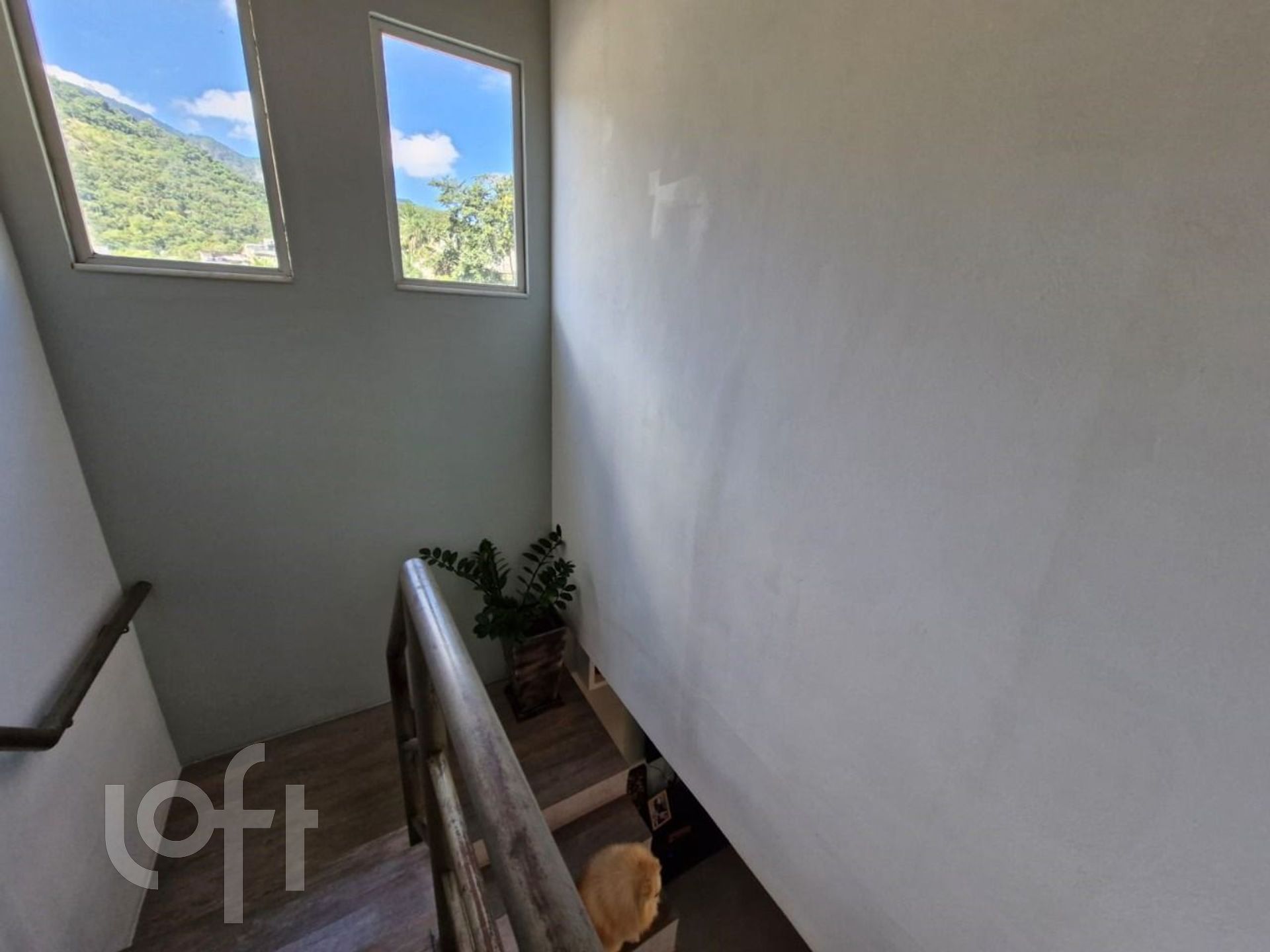 Imagem da propriedade 5