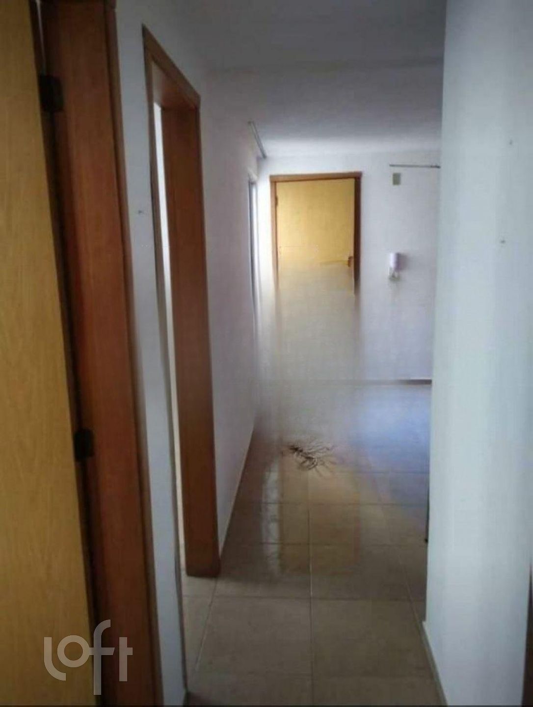 Imagem da propriedade 9