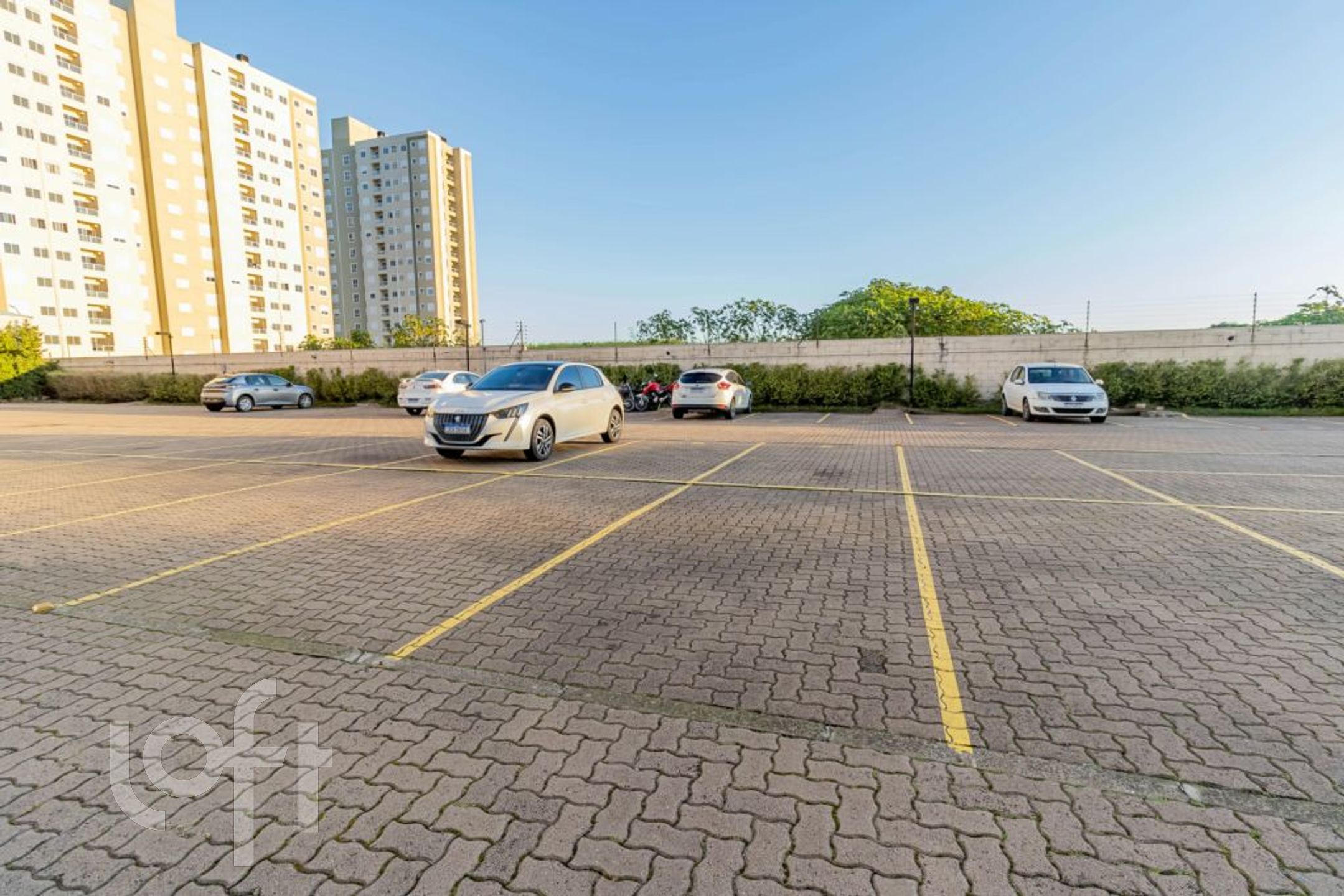 Imagem da propriedade 31