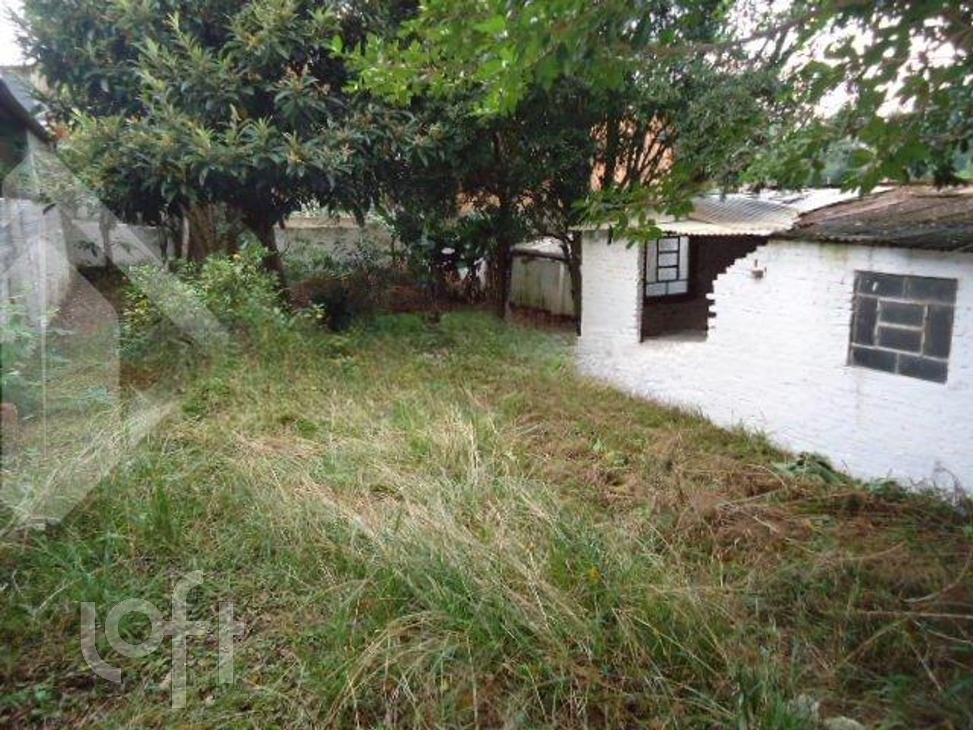 Imagem da propriedade 9