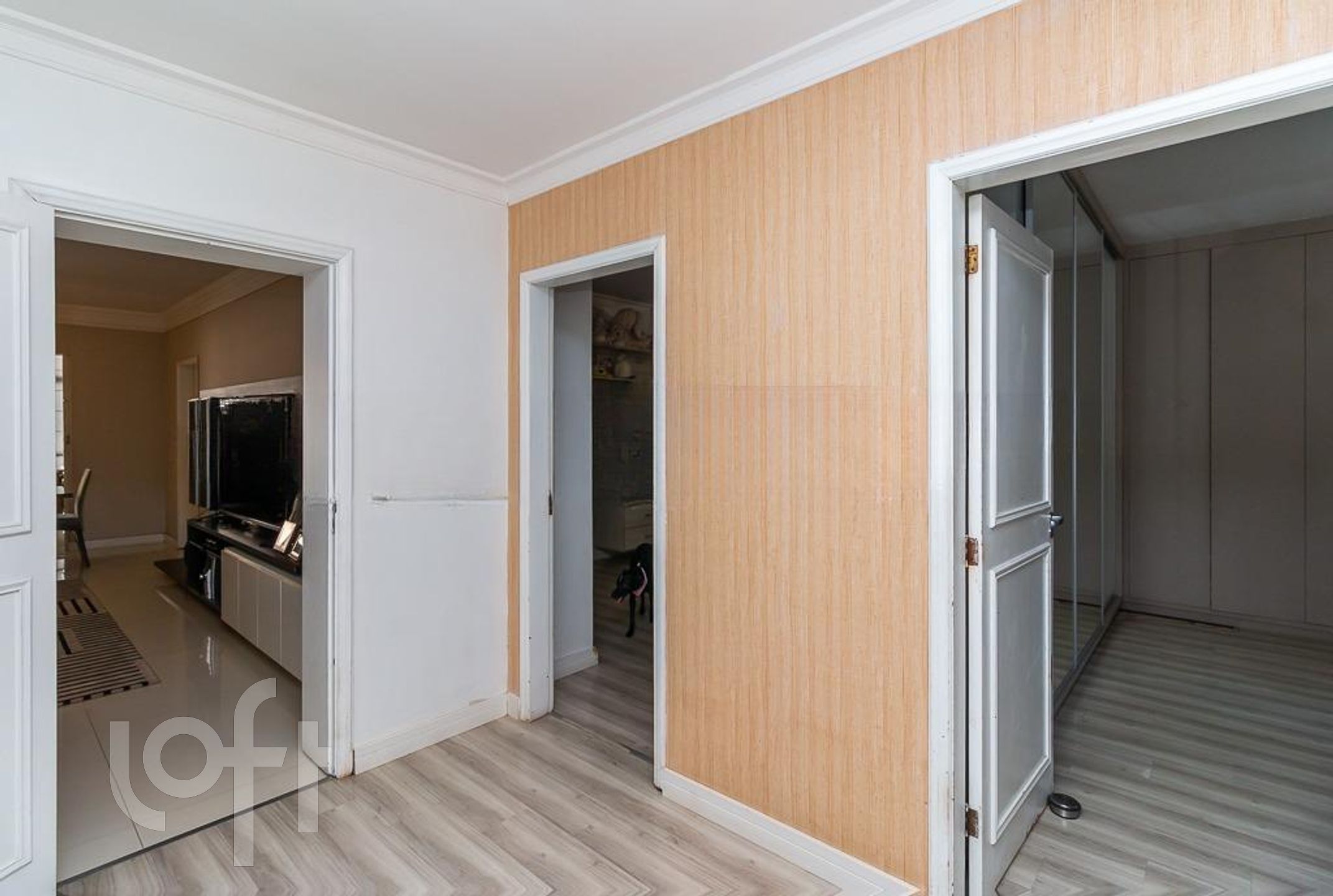 Imagem da propriedade 15