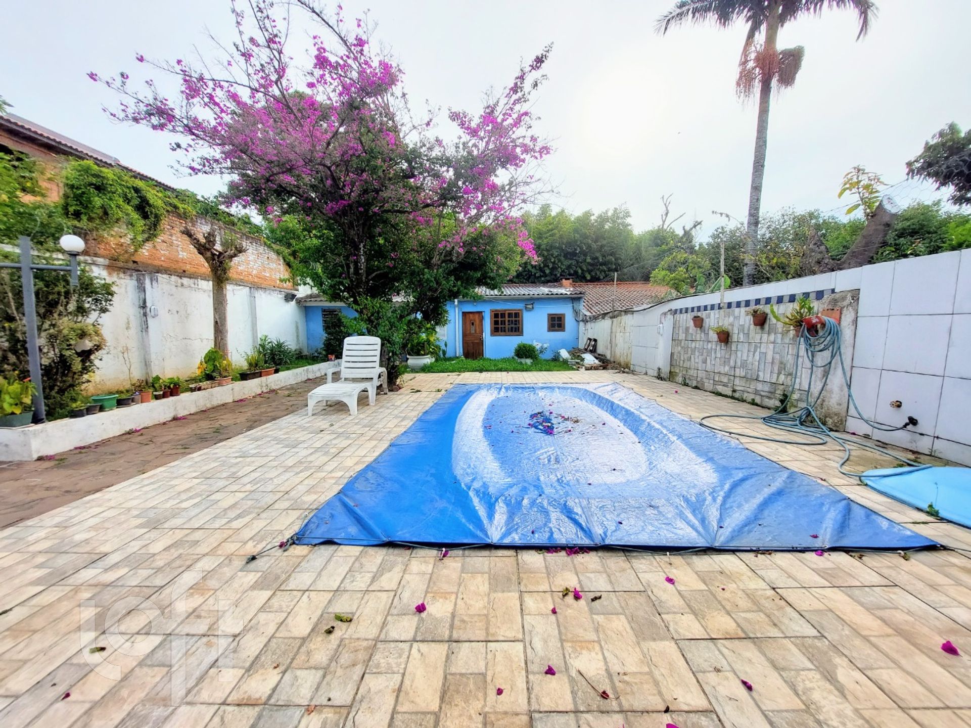 Imagem da propriedade 24