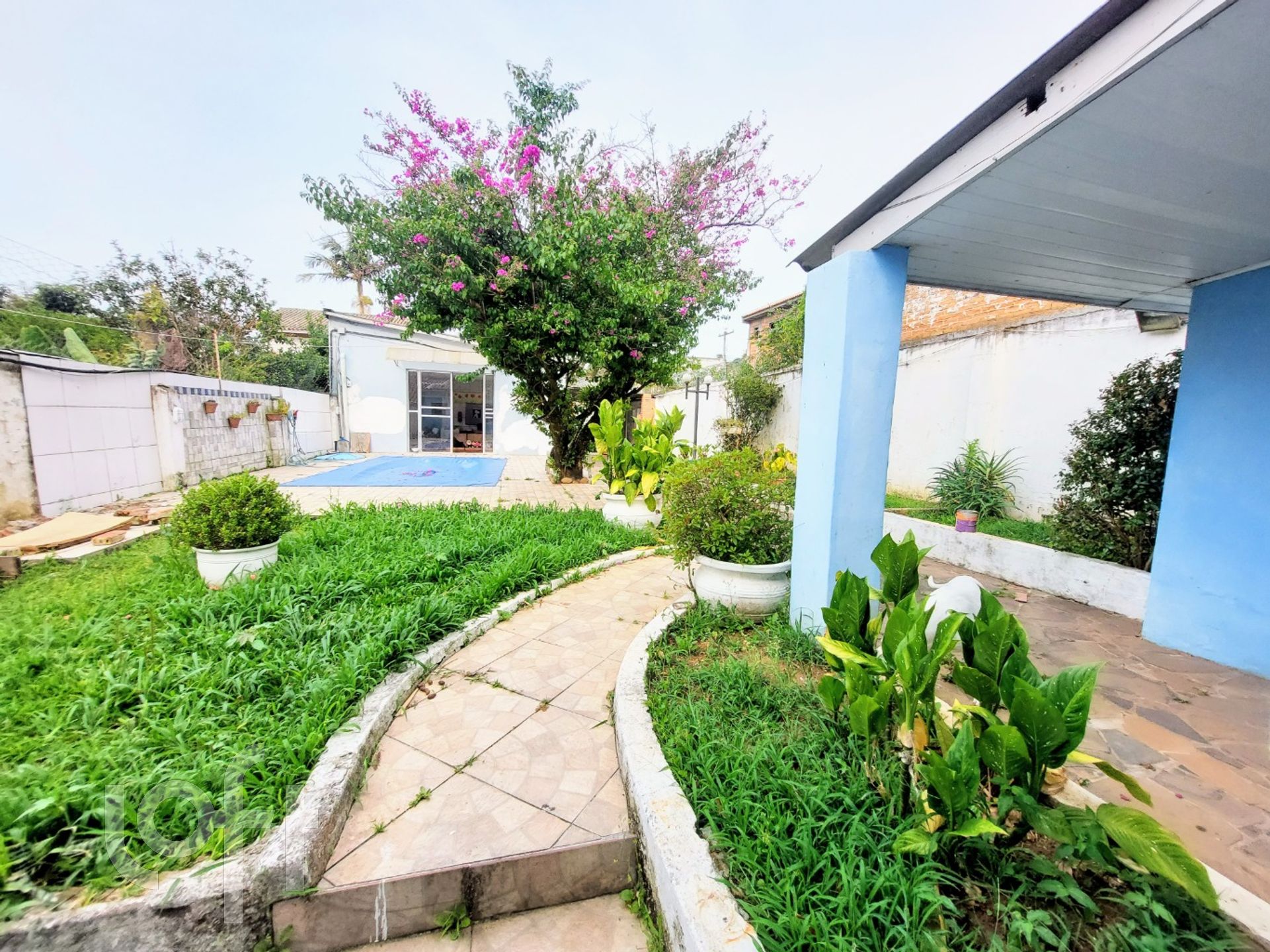 Imagem da propriedade 26