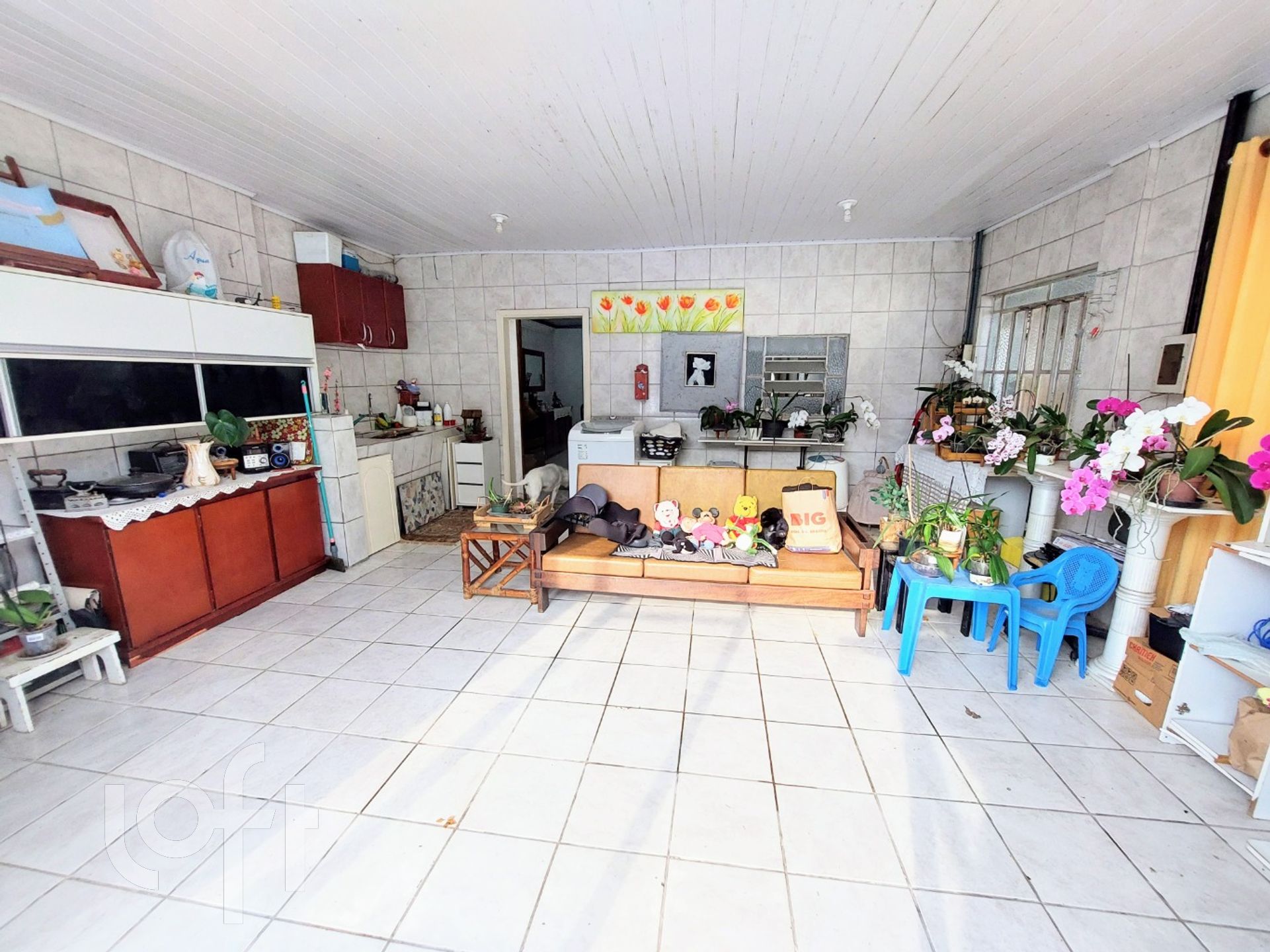 Imagem da propriedade 21