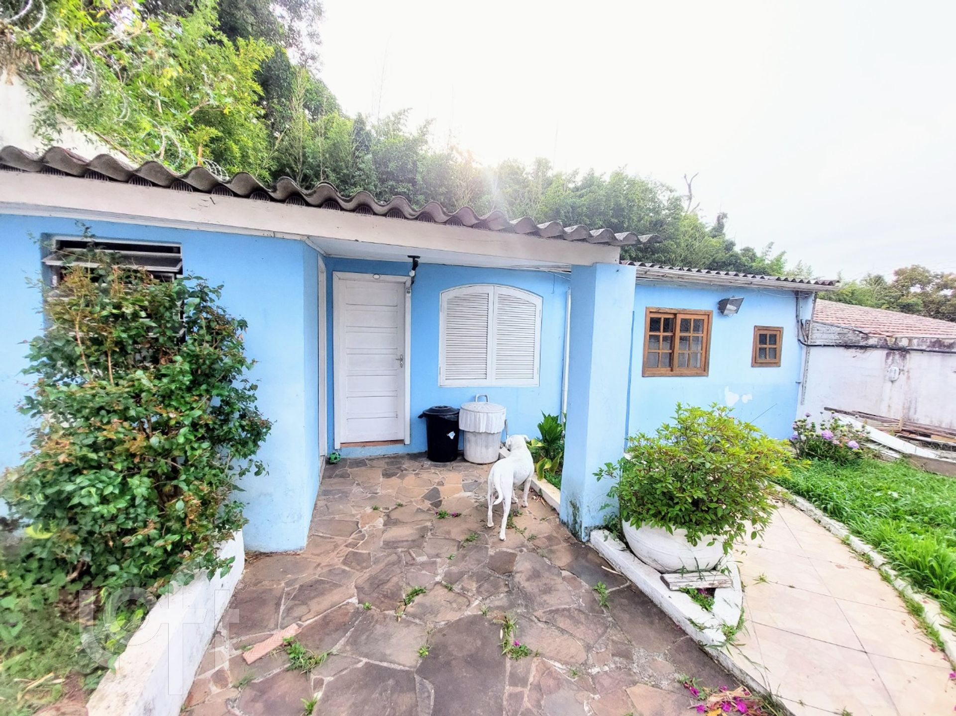 Imagem da propriedade 25