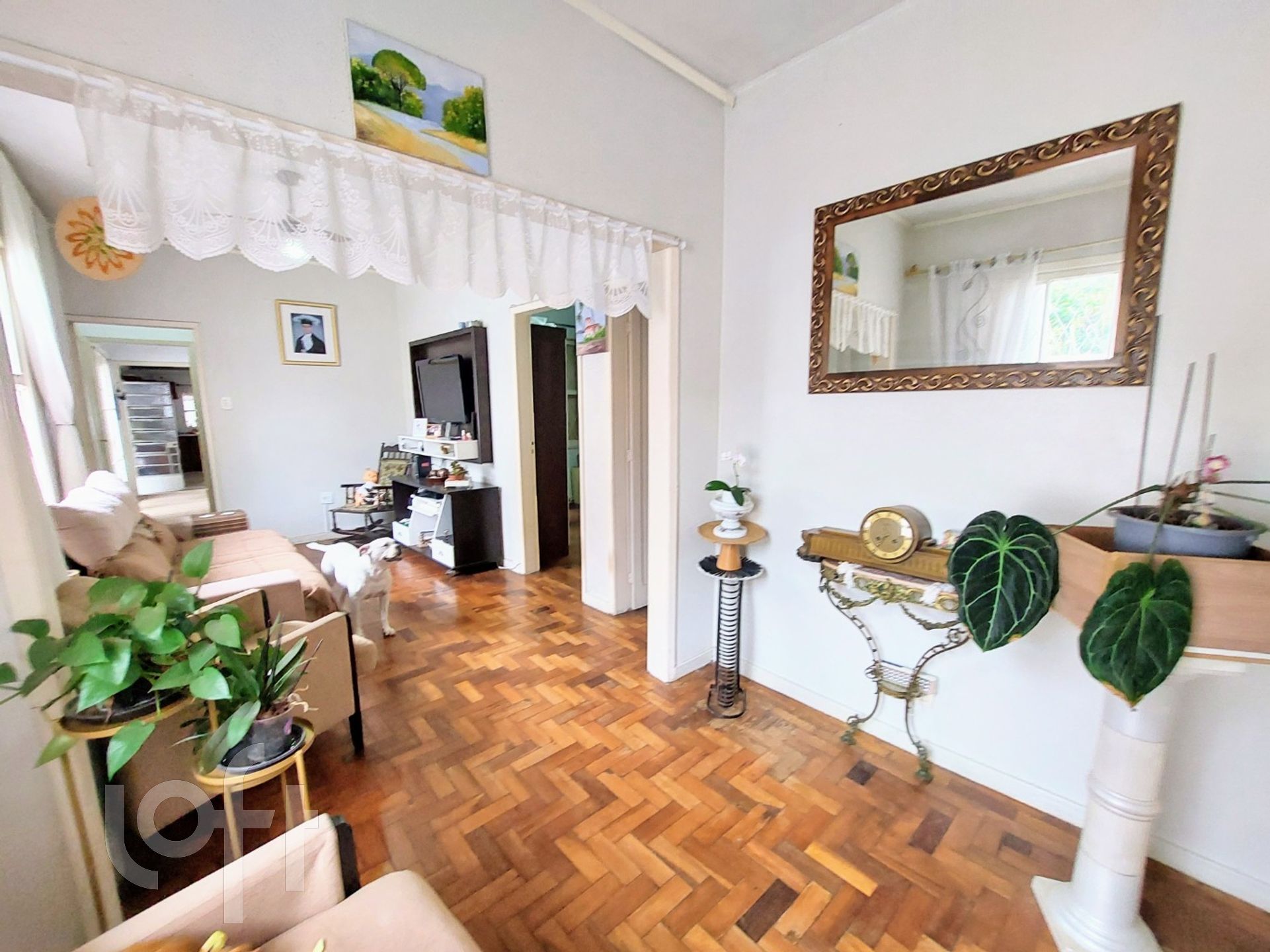 Imagem da propriedade 8