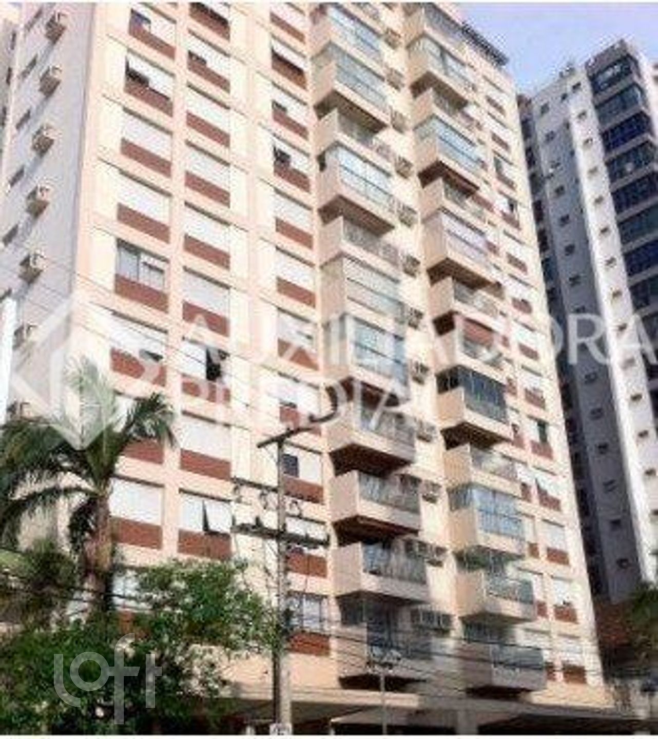 Imagem da propriedade 23