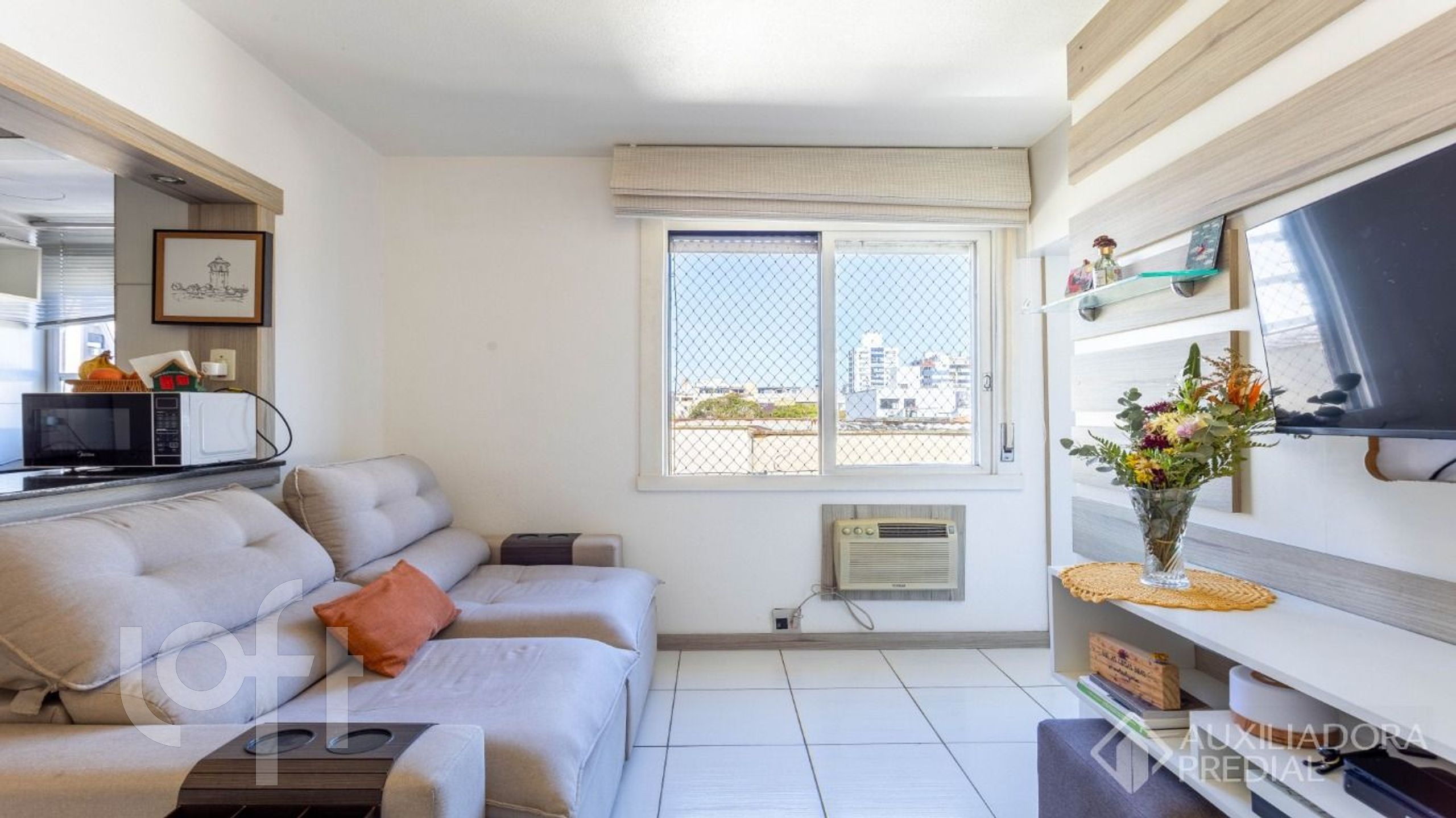 Imagem da propriedade 3