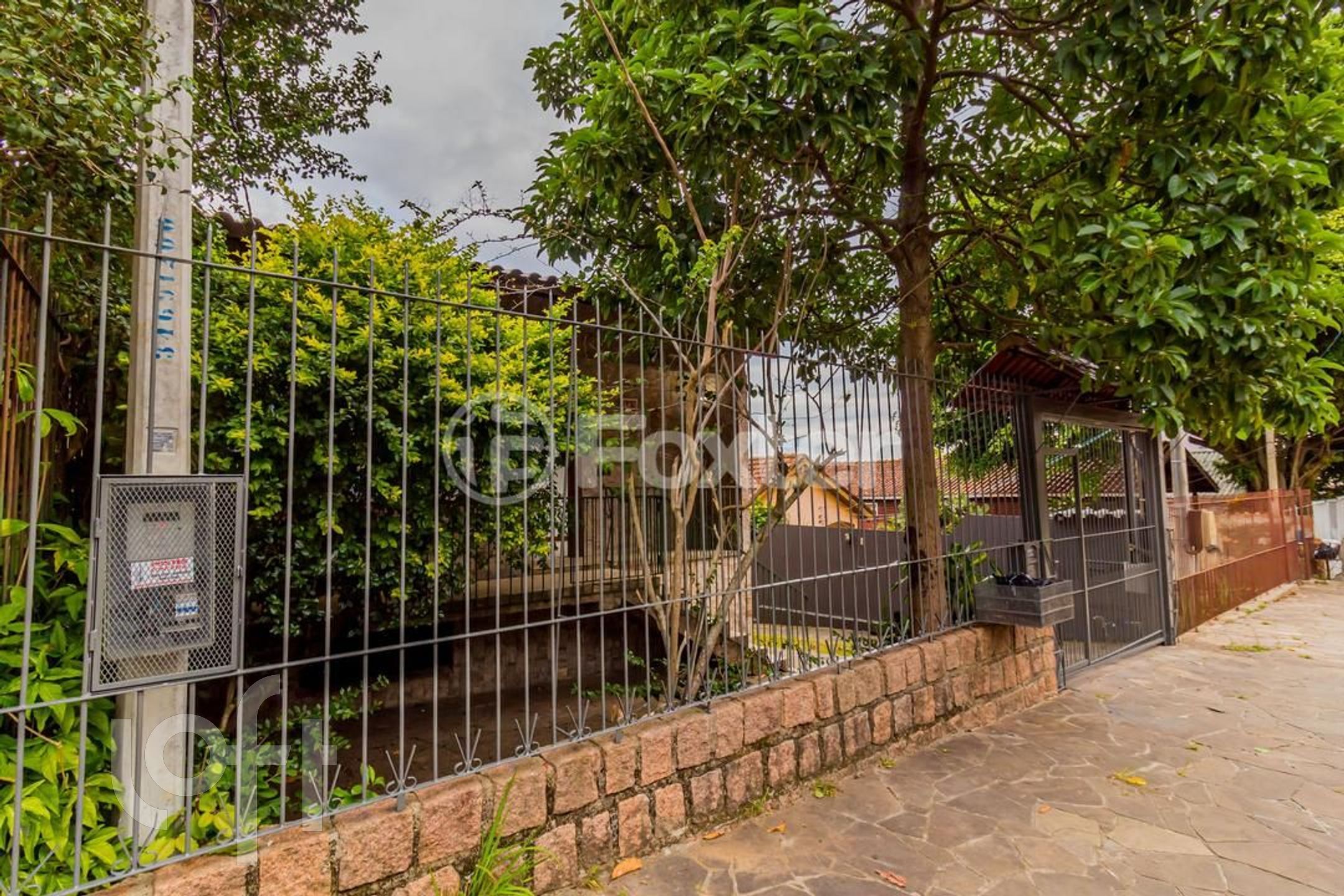 Imagem da propriedade 3