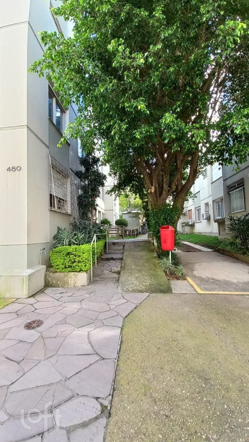 Imagem da propriedade 19