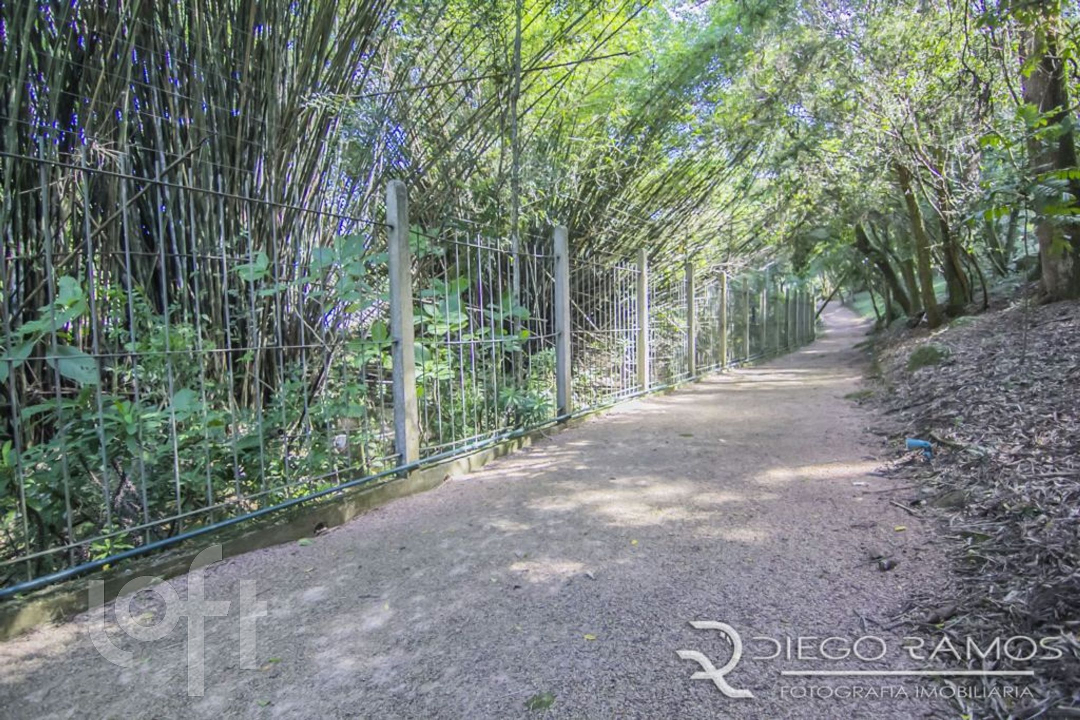 Imagem da propriedade 64