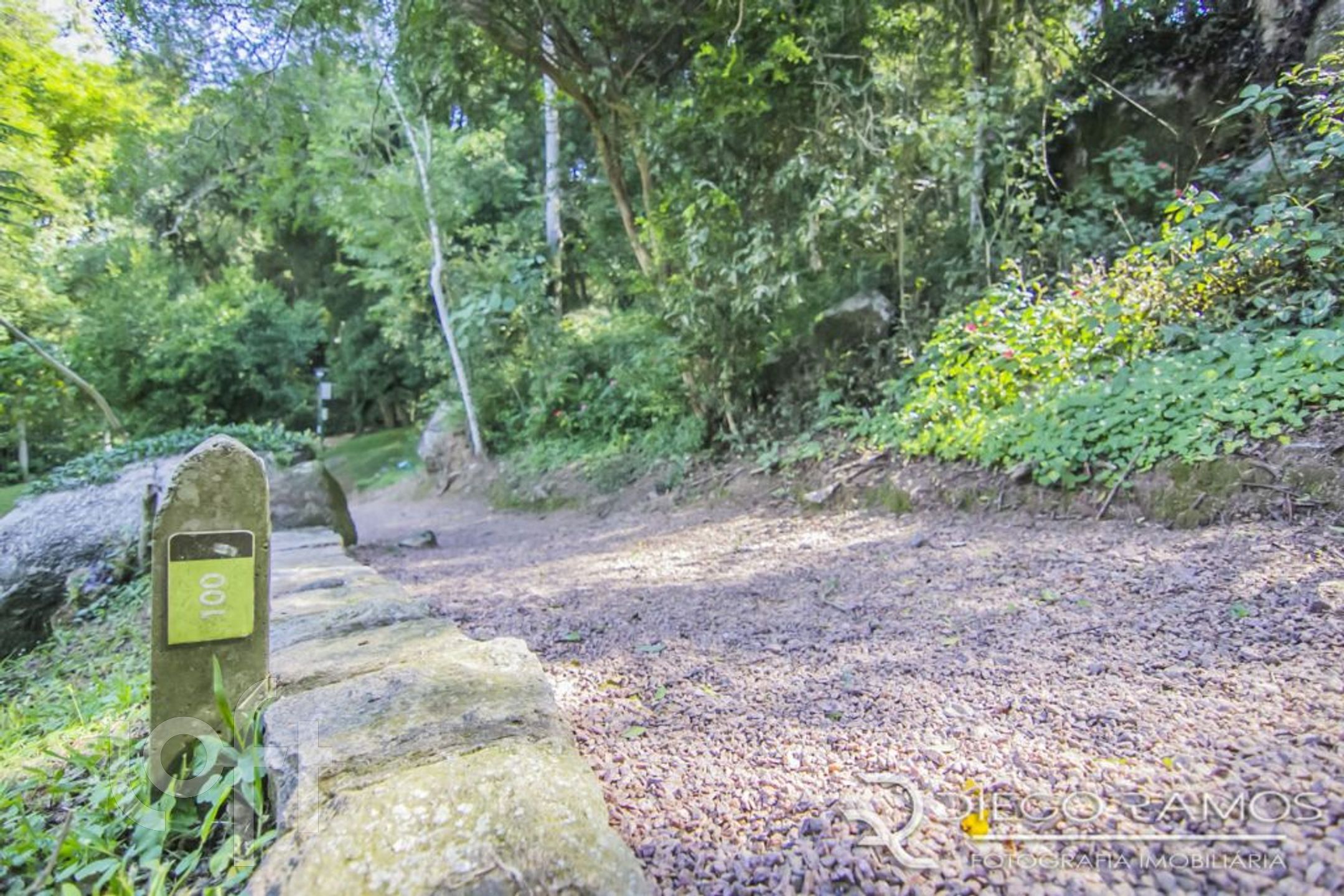 Imagem da propriedade 63