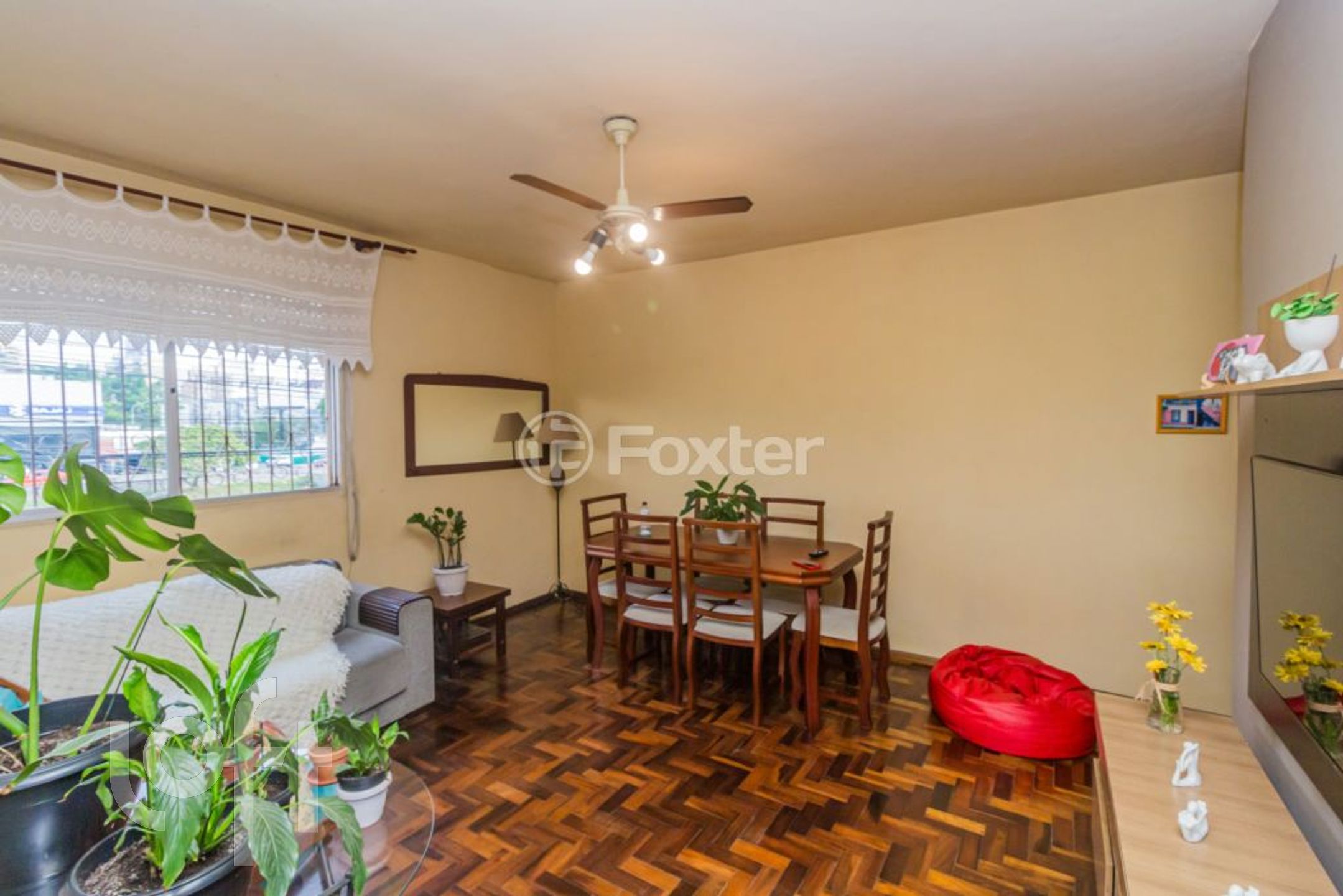 Imagem da propriedade 3