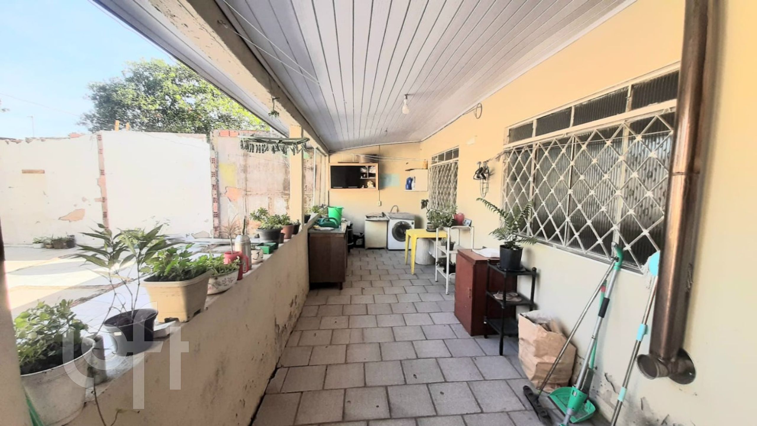 Imagem da propriedade 8