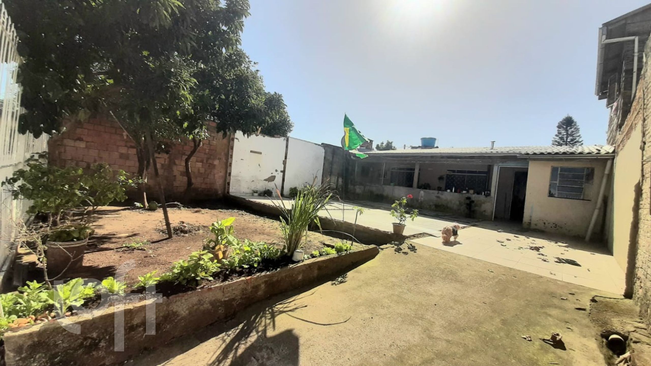 Imagem da propriedade 21