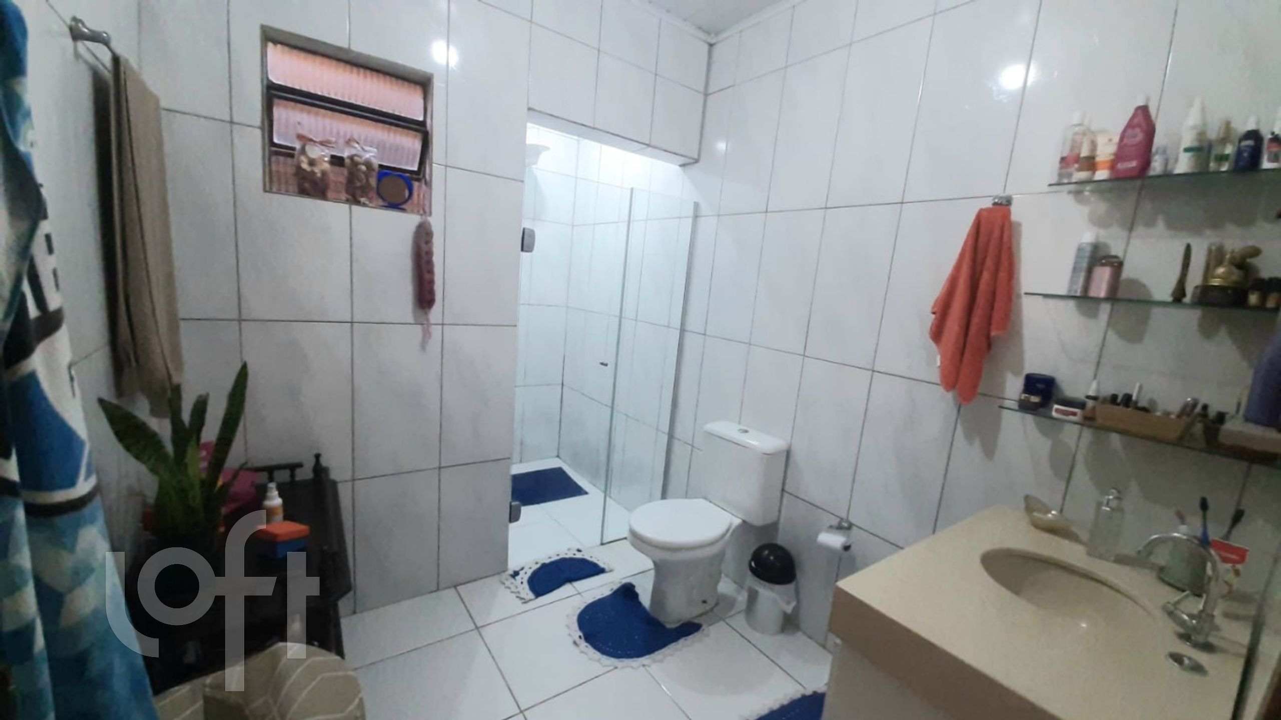 Imagem da propriedade 11