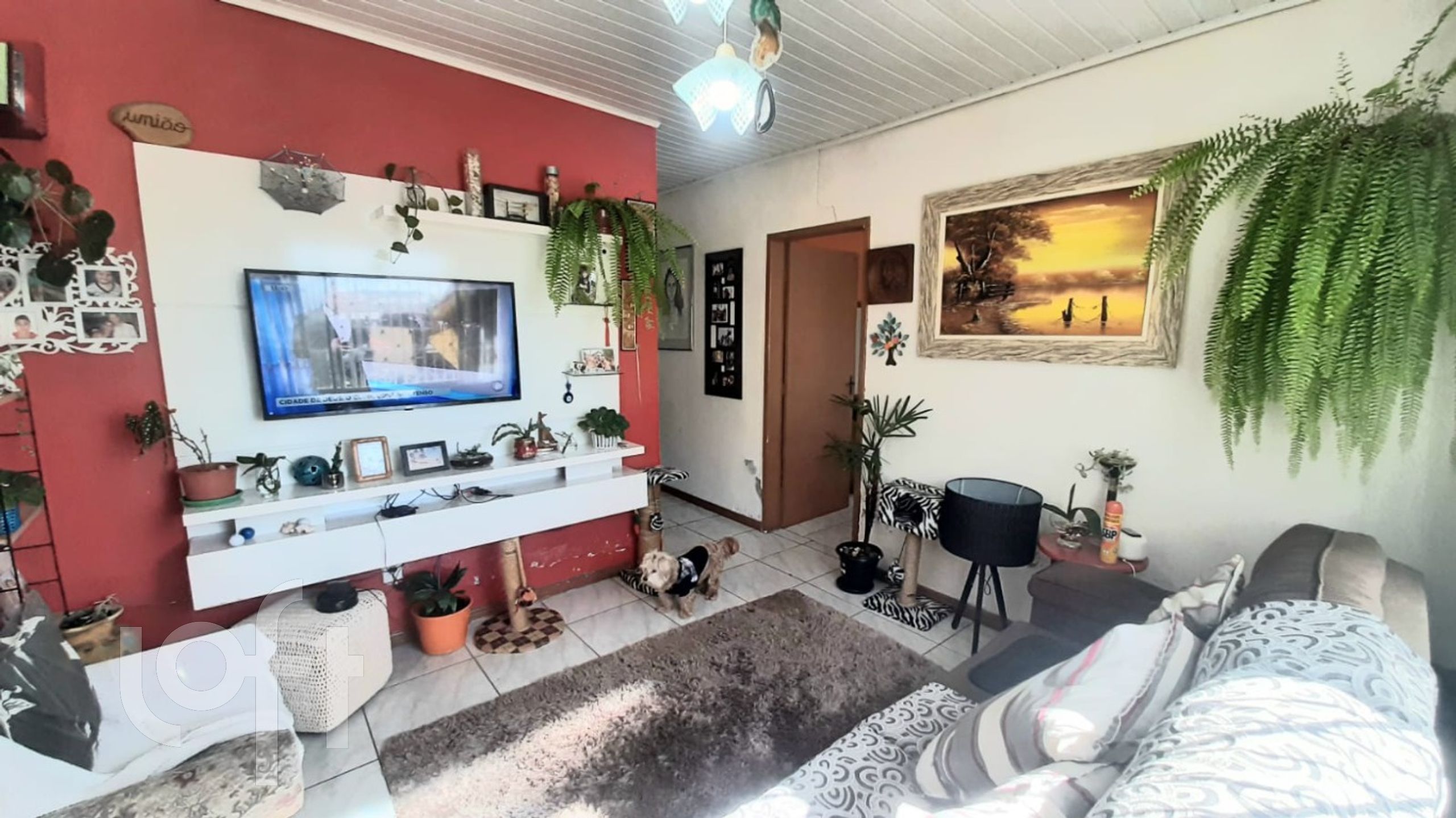 Imagem da propriedade 3