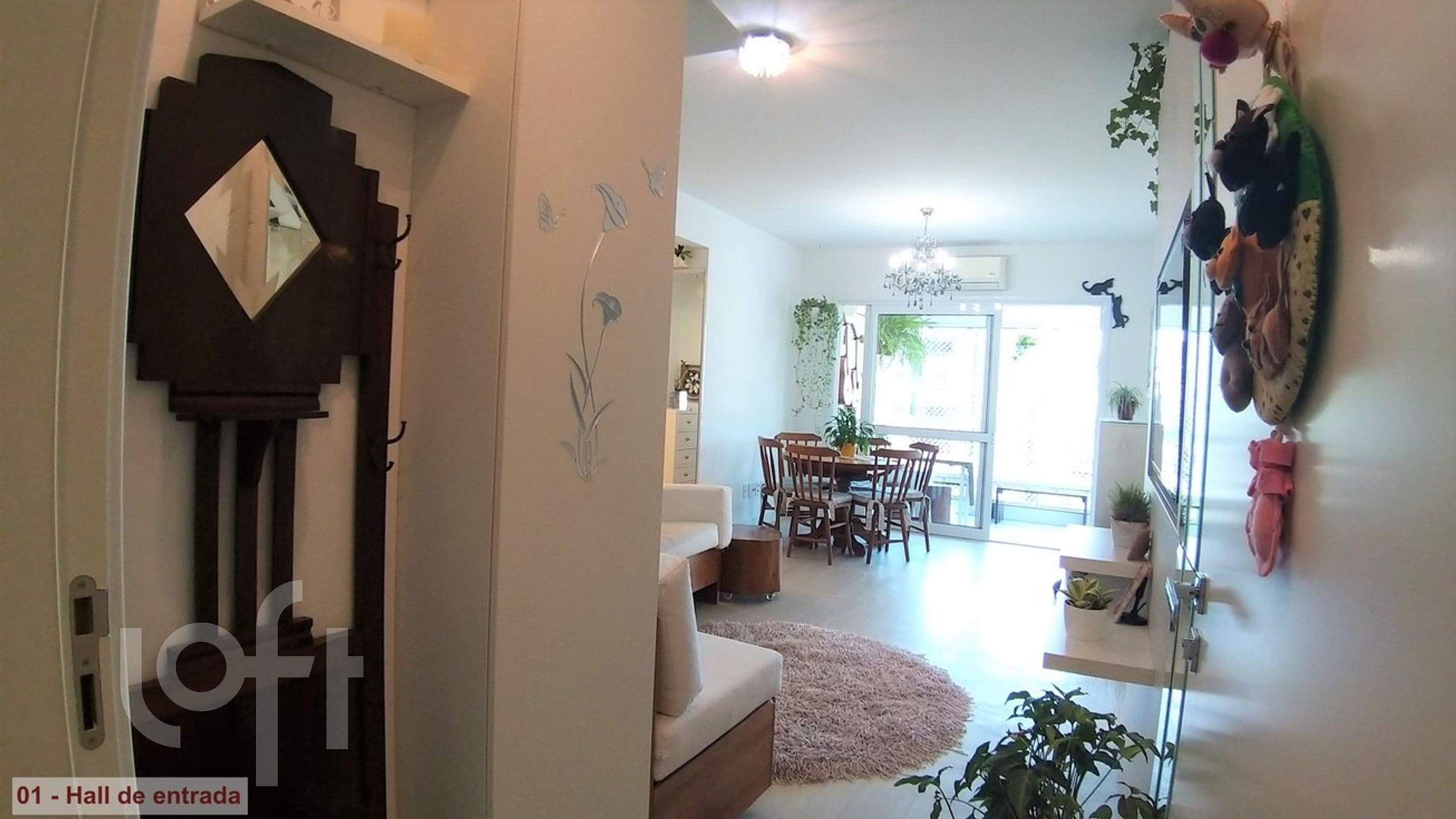 Imagem da propriedade 3