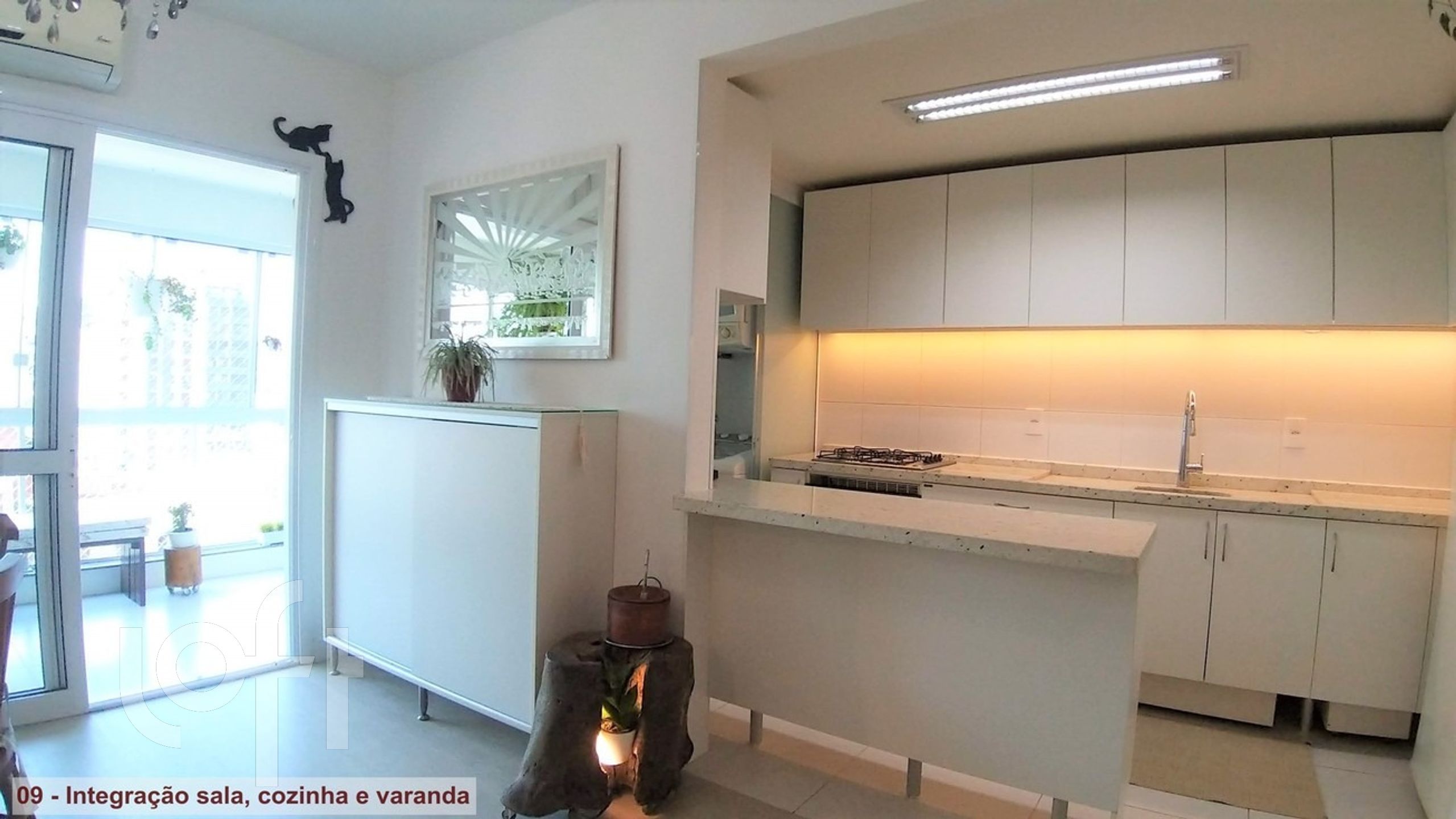 Imagem da propriedade 9