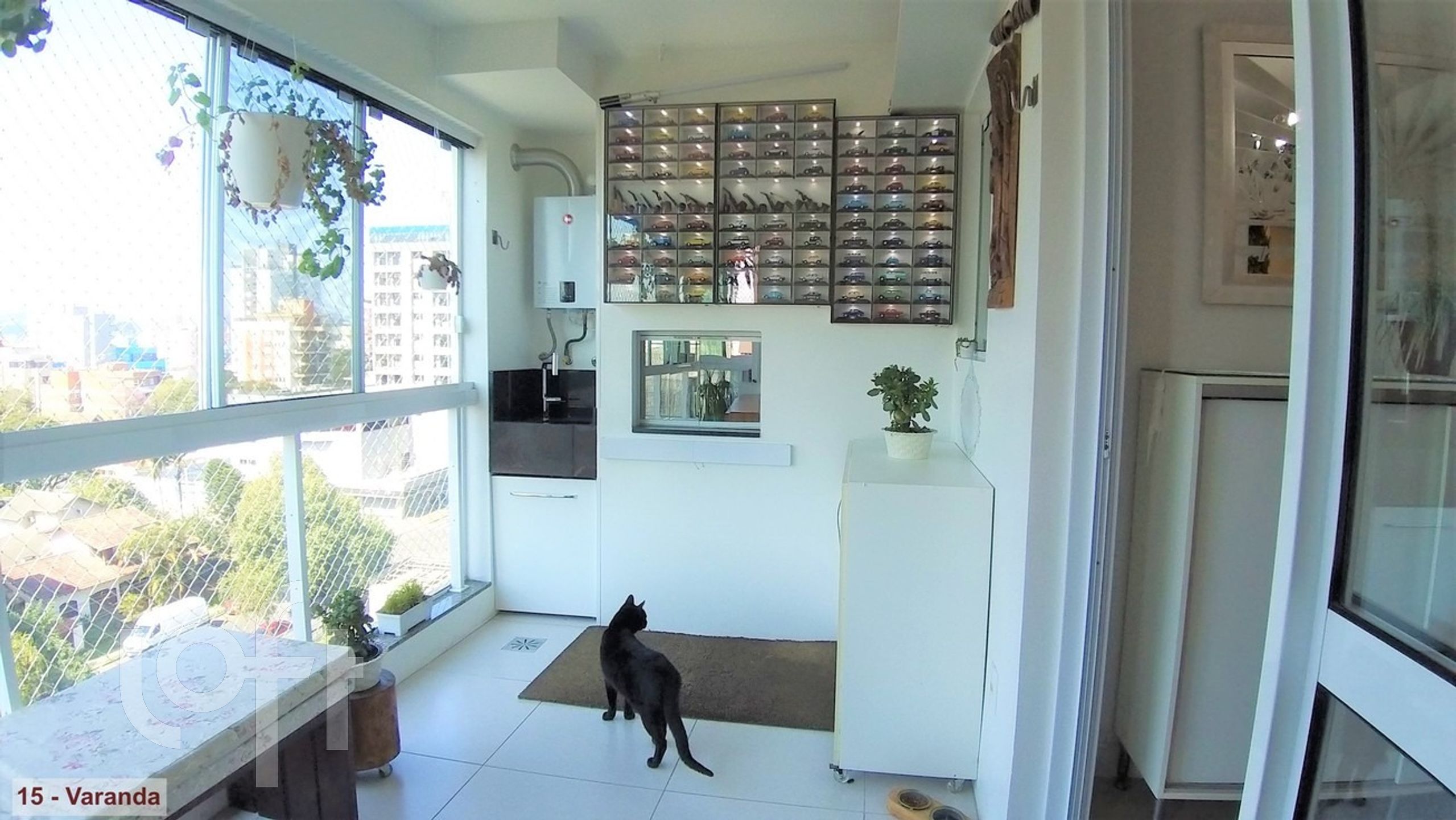 Imagem da propriedade 15