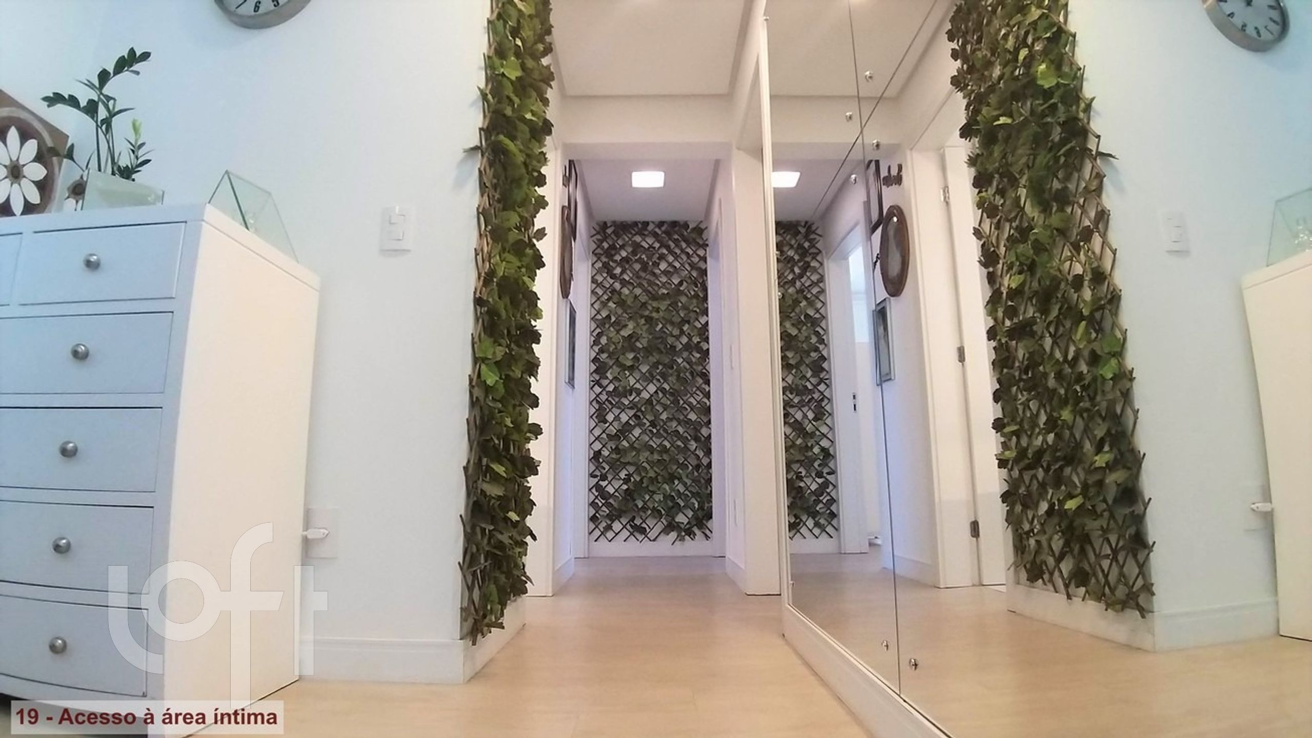 Imagem da propriedade 19