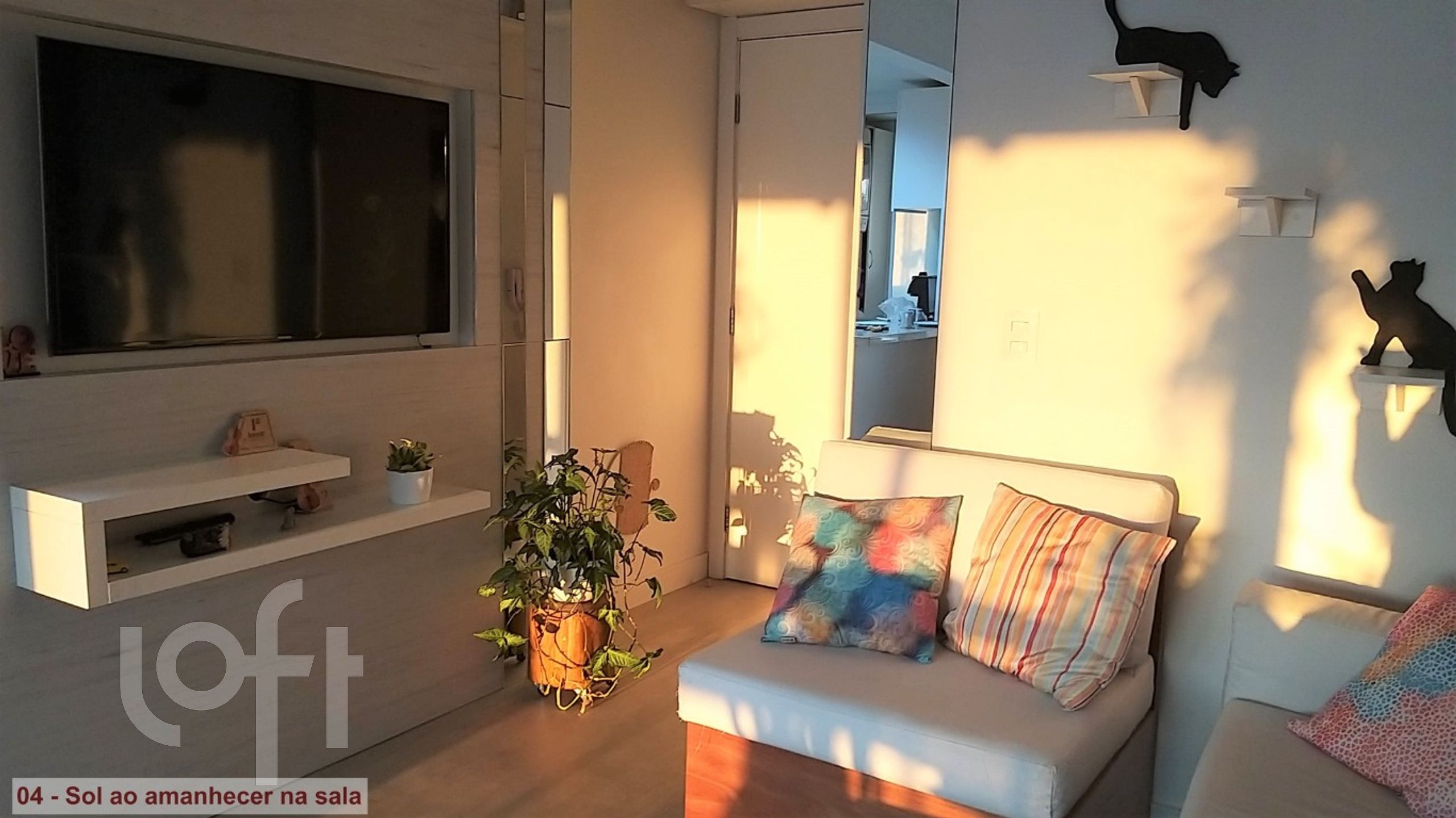 Imagem da propriedade 6