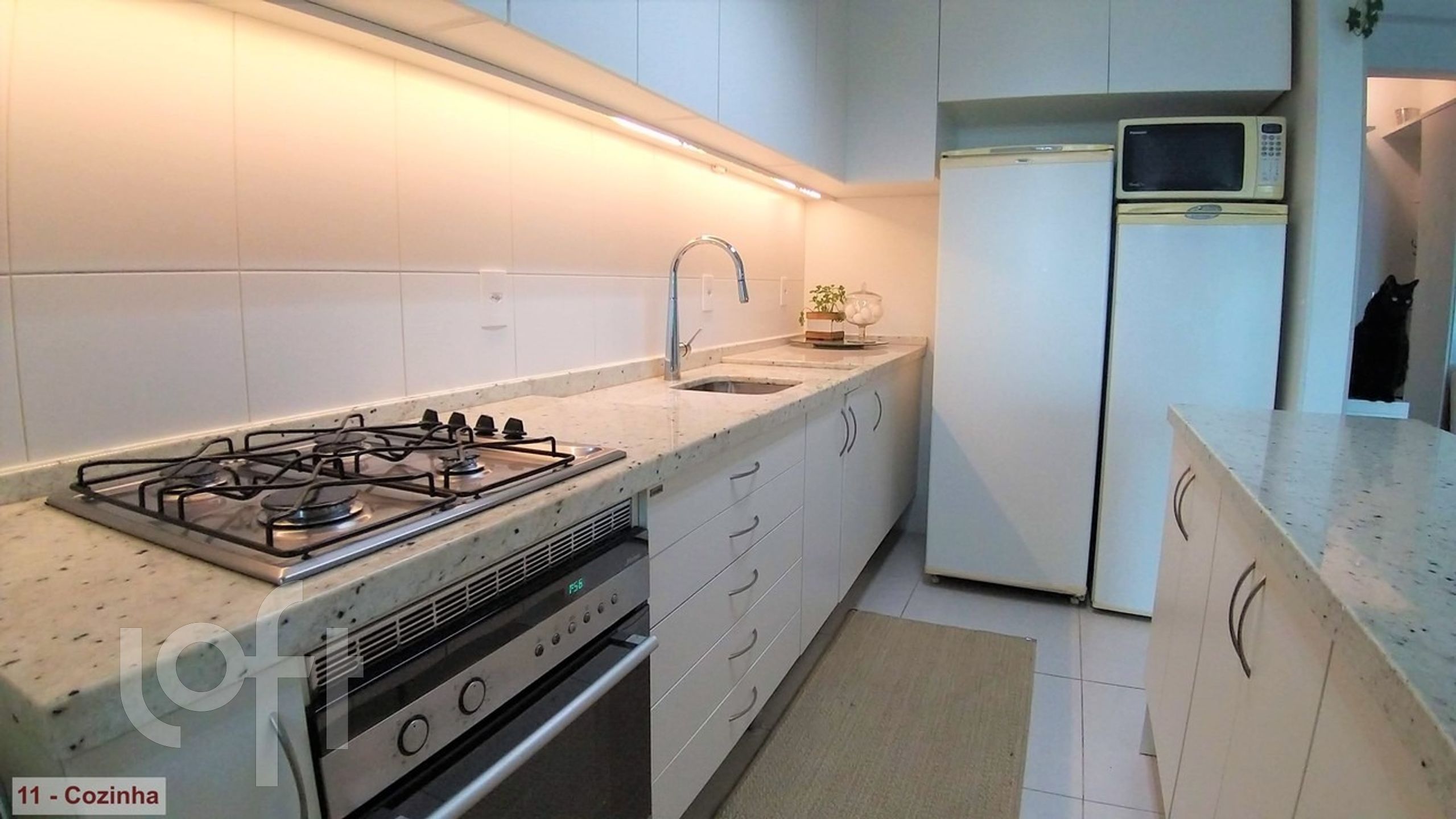 Imagem da propriedade 11