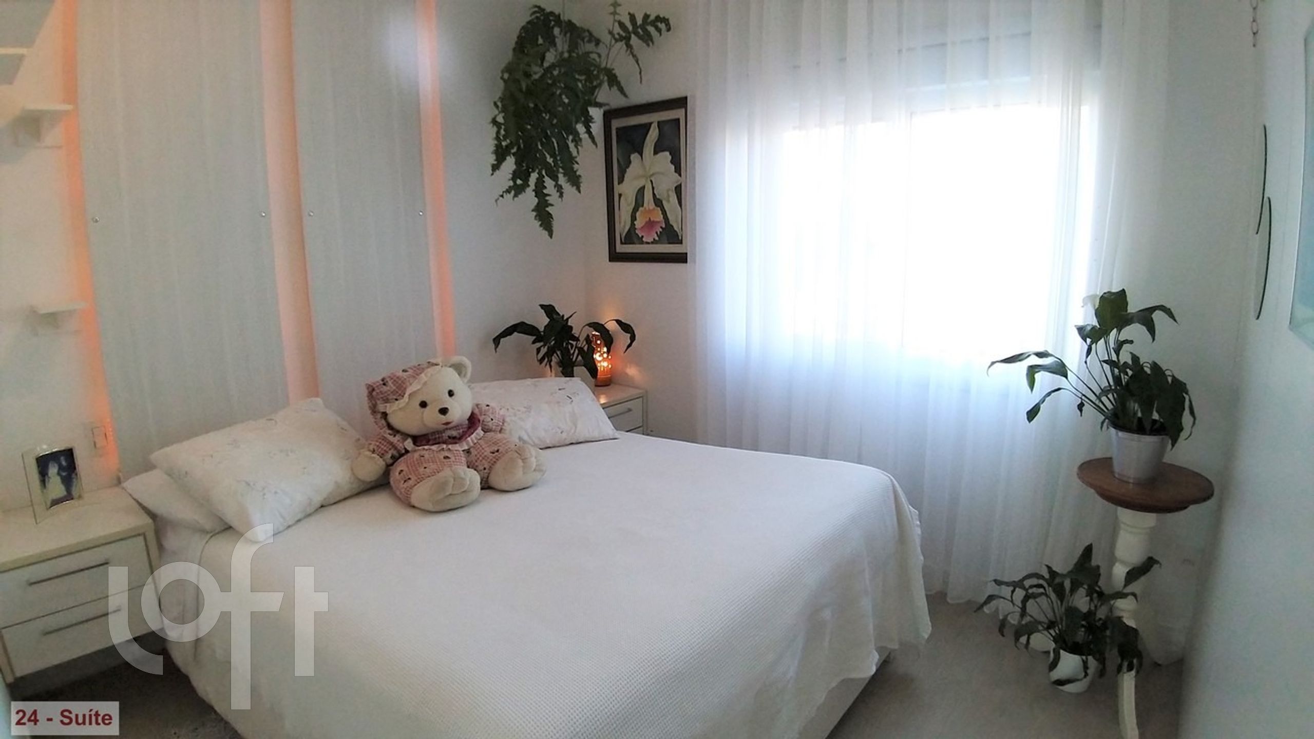 Imagem da propriedade 24