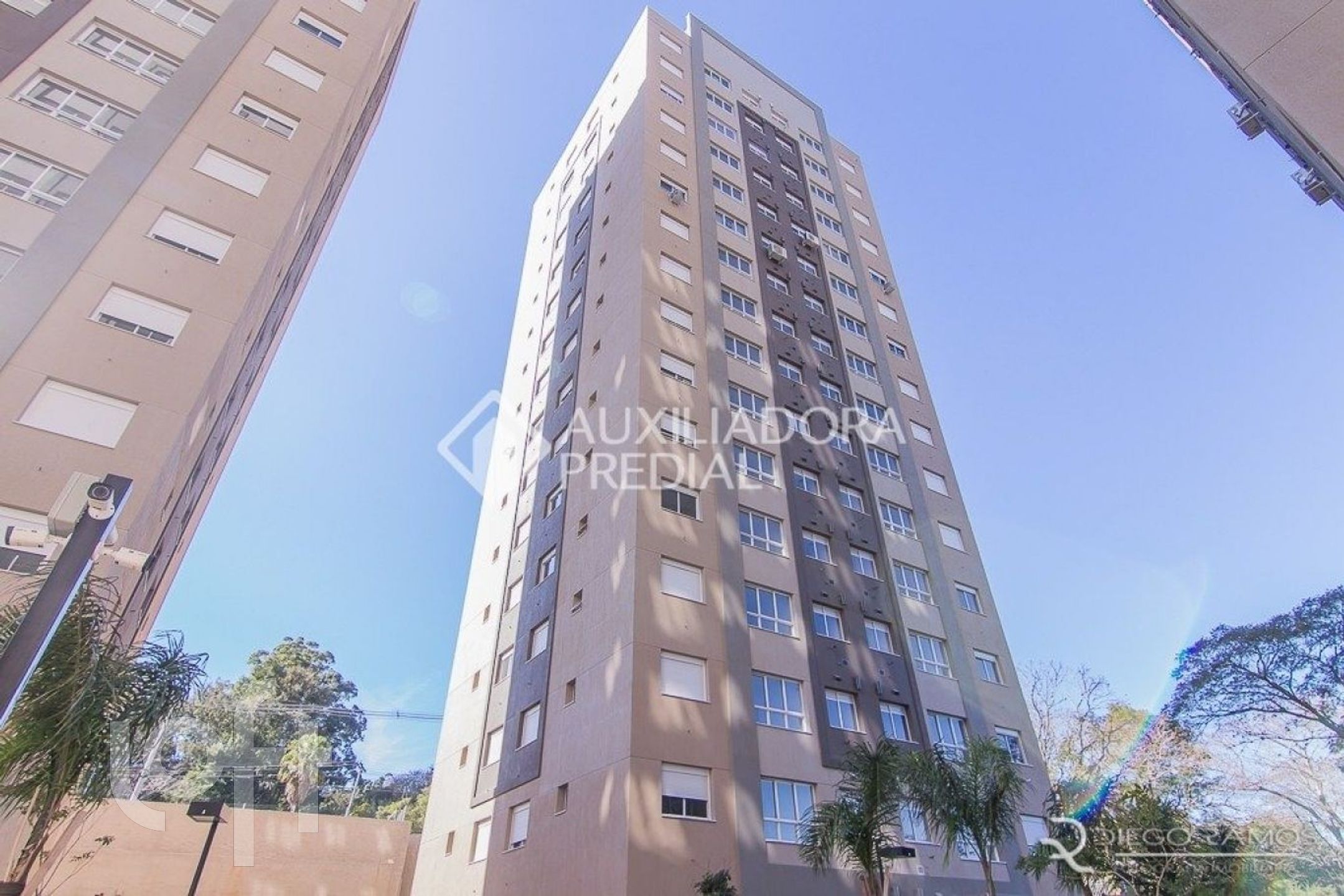 Imagem da propriedade 21