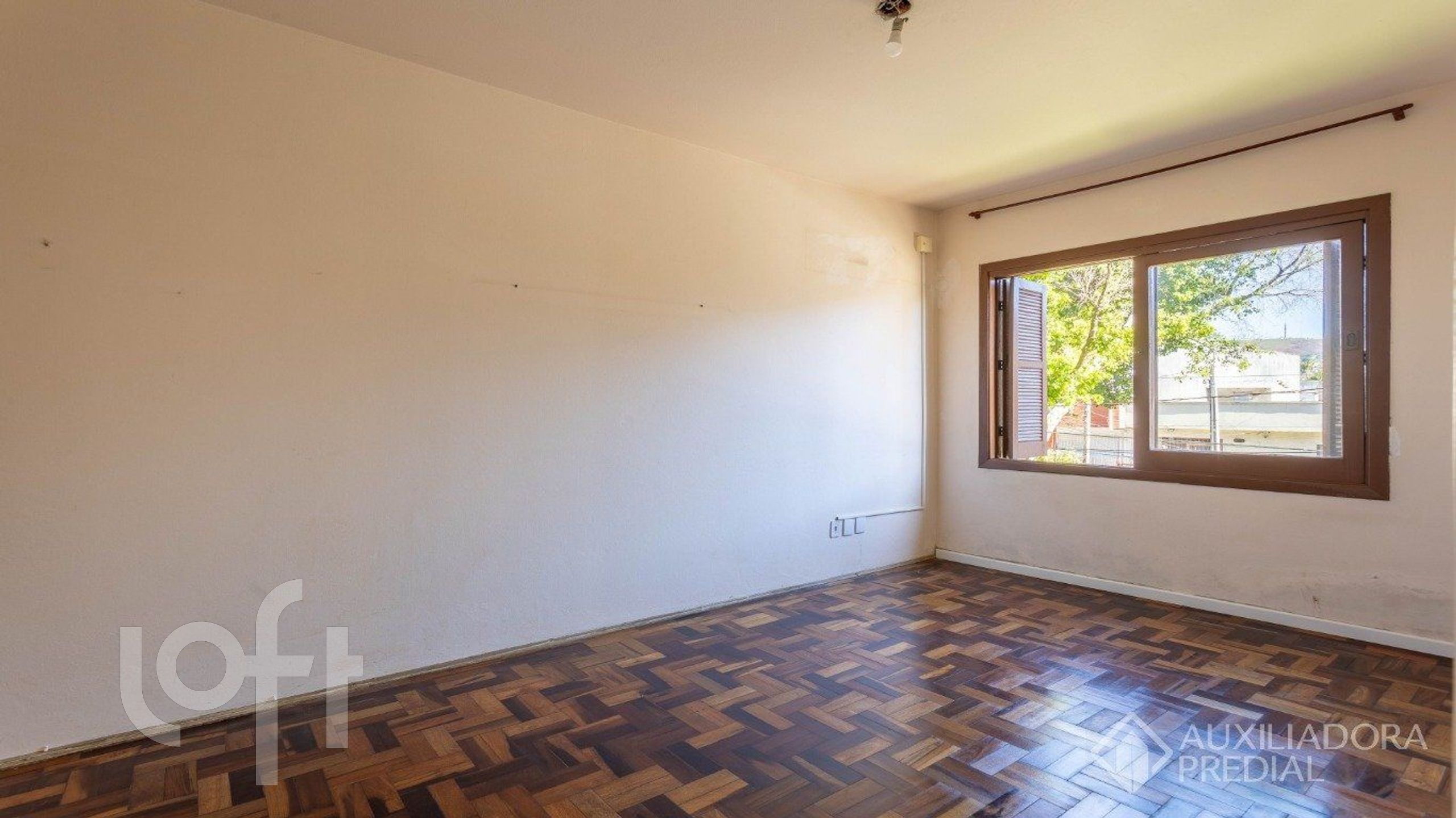 Imagem da propriedade 4