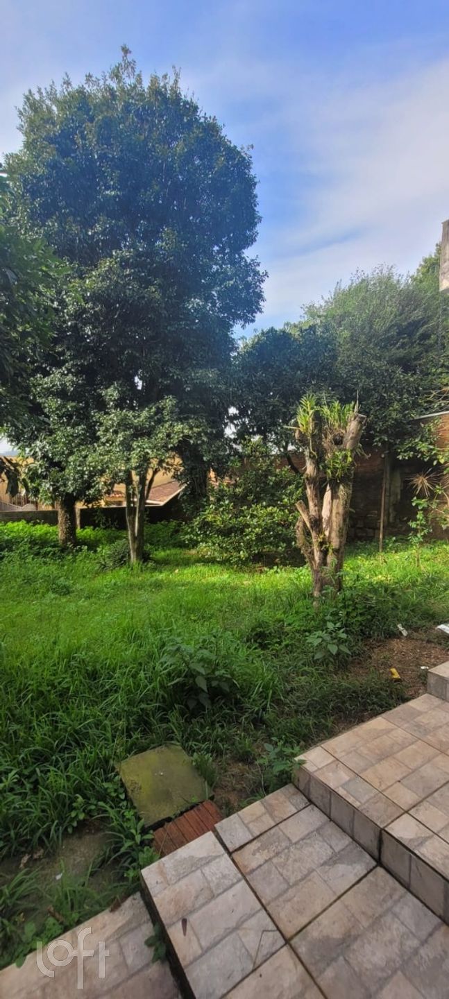 Imagem da propriedade 12