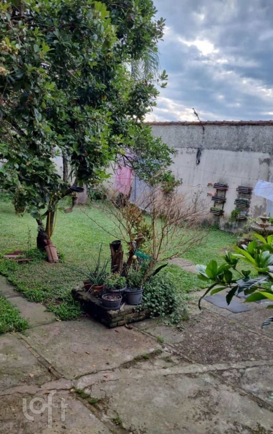 Imagem da propriedade 15