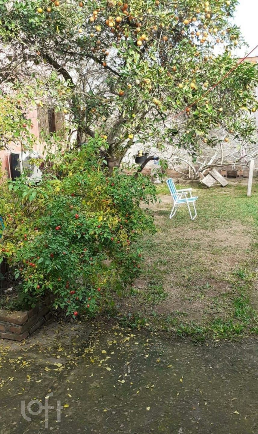 Imagem da propriedade 17