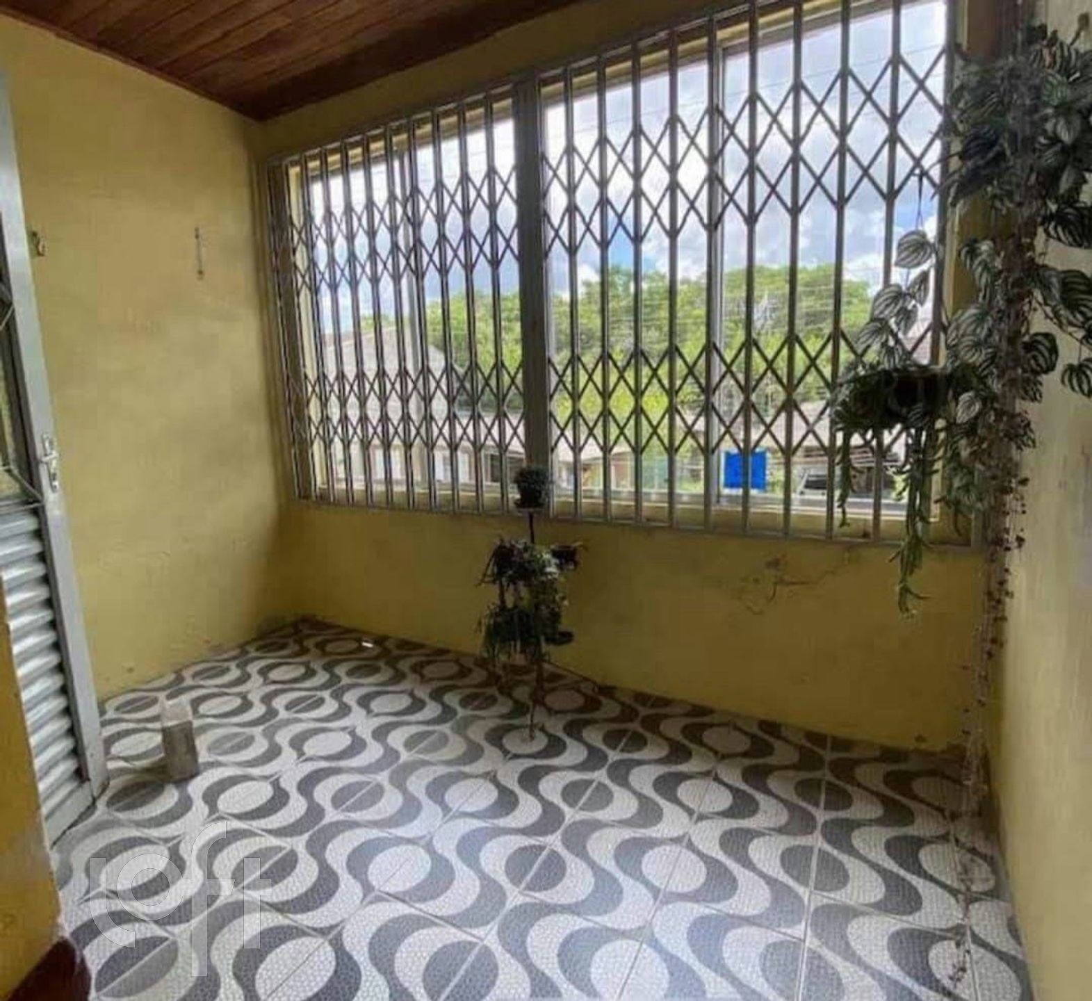 Imagem da propriedade 19