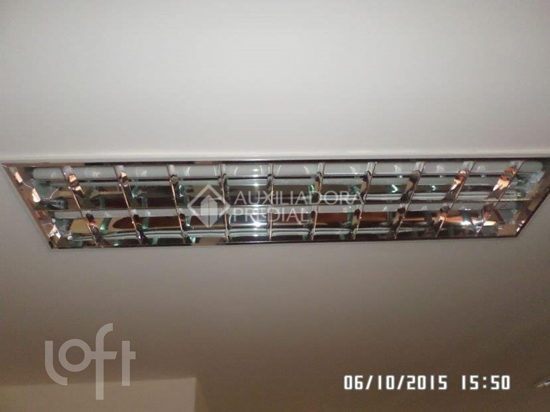 Imagem da propriedade 19