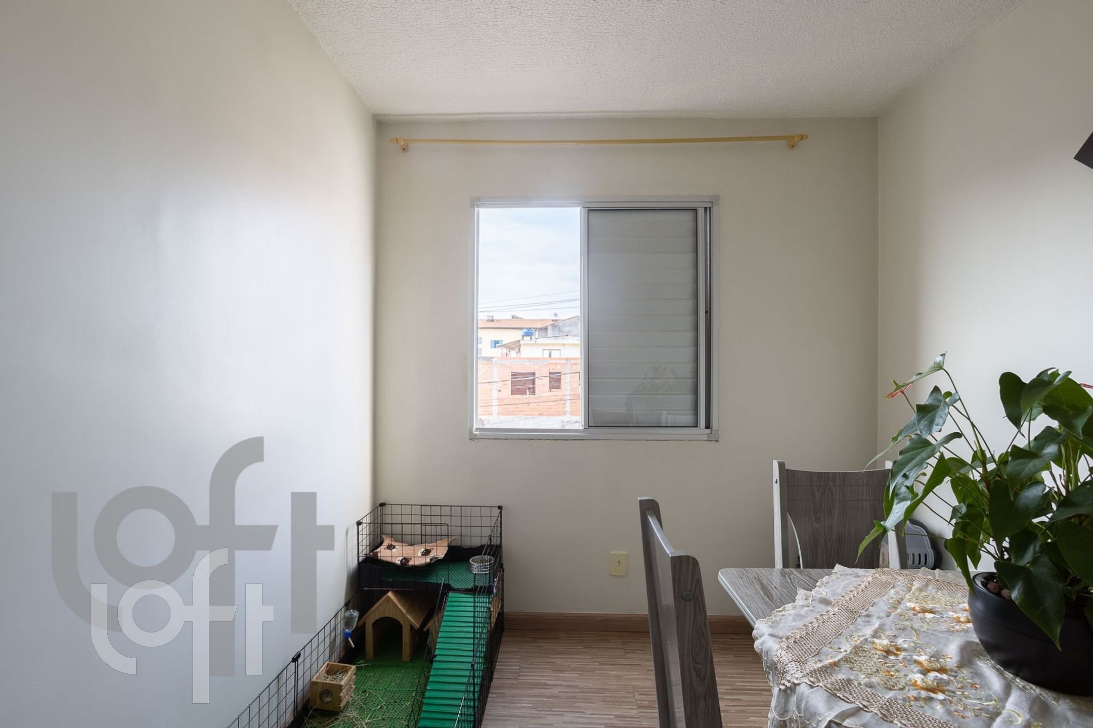 Apartamento à venda com 3 quartos, 55m² - Foto 8