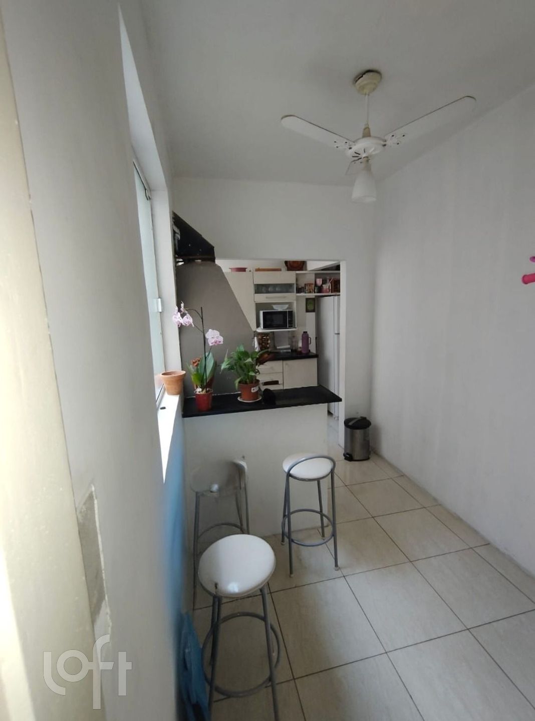 Imagem da propriedade 9