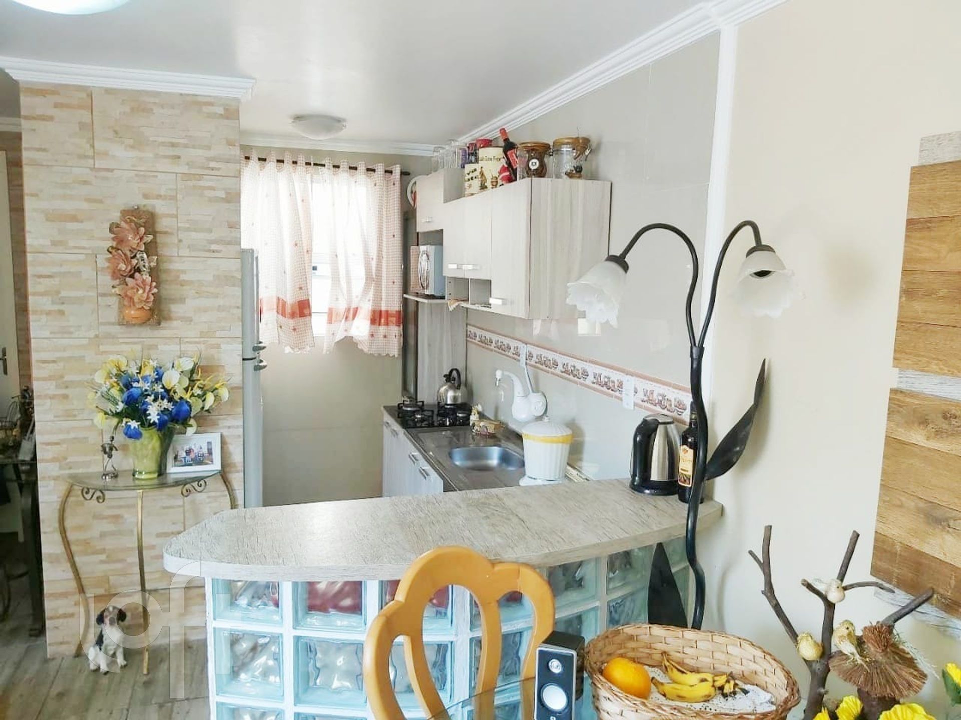 Imagem da propriedade 7