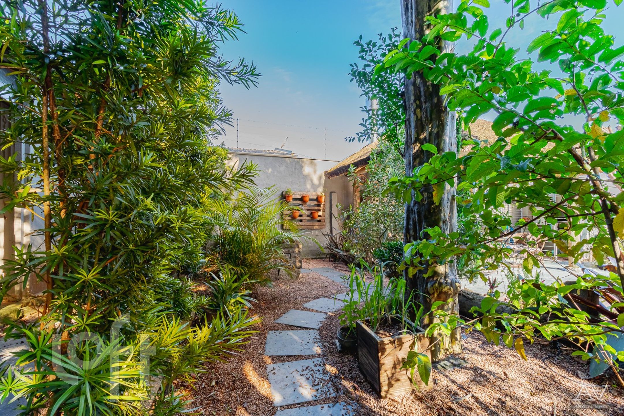 Imagem da propriedade 52