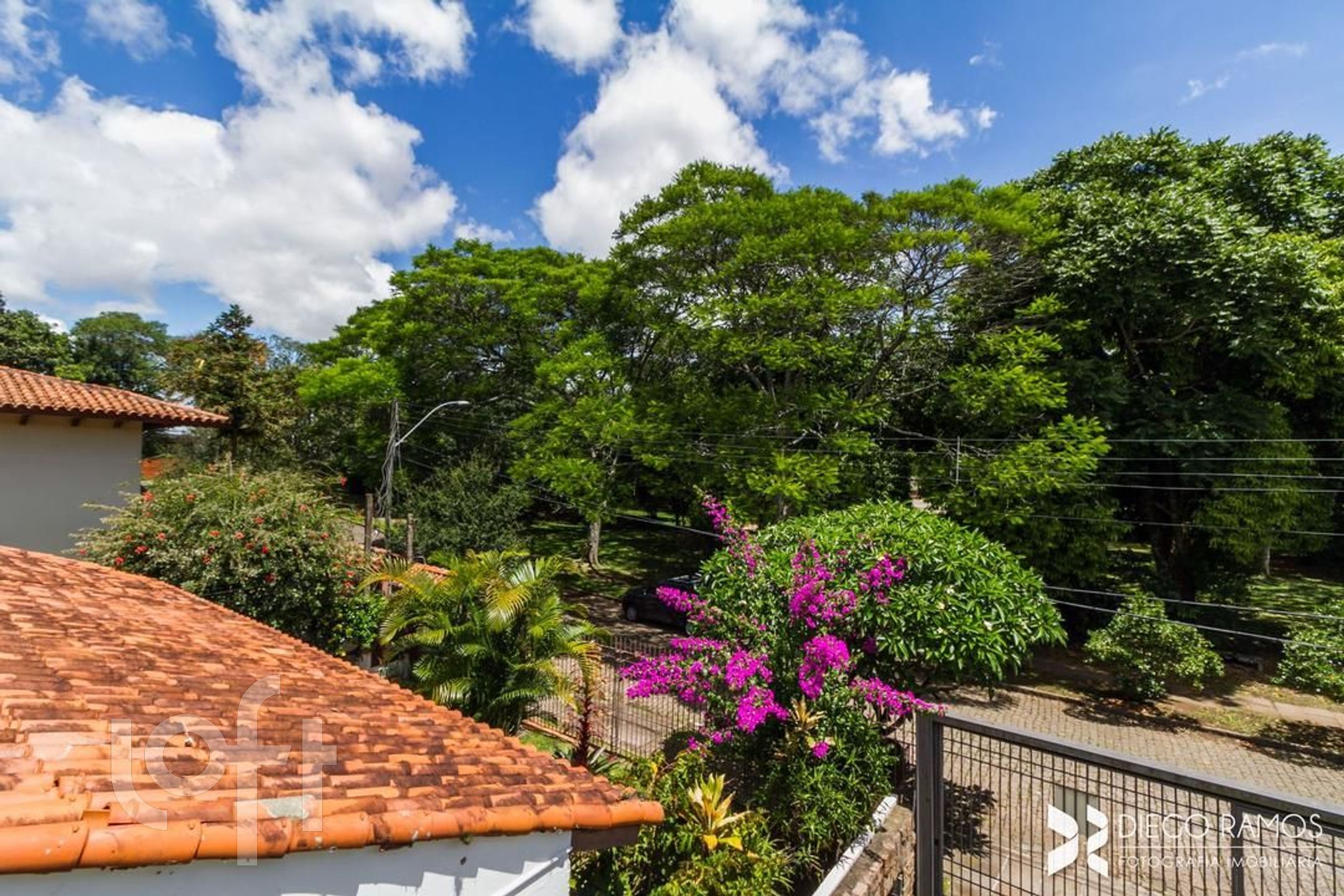 Imagem da propriedade 25