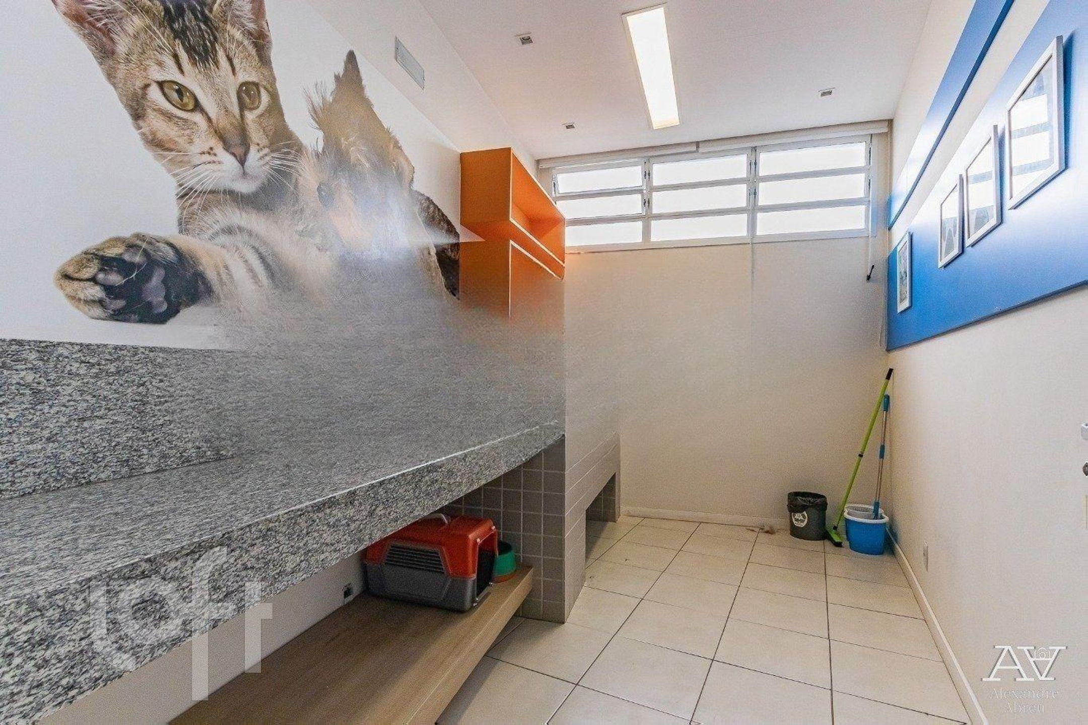 Imagem da propriedade 24