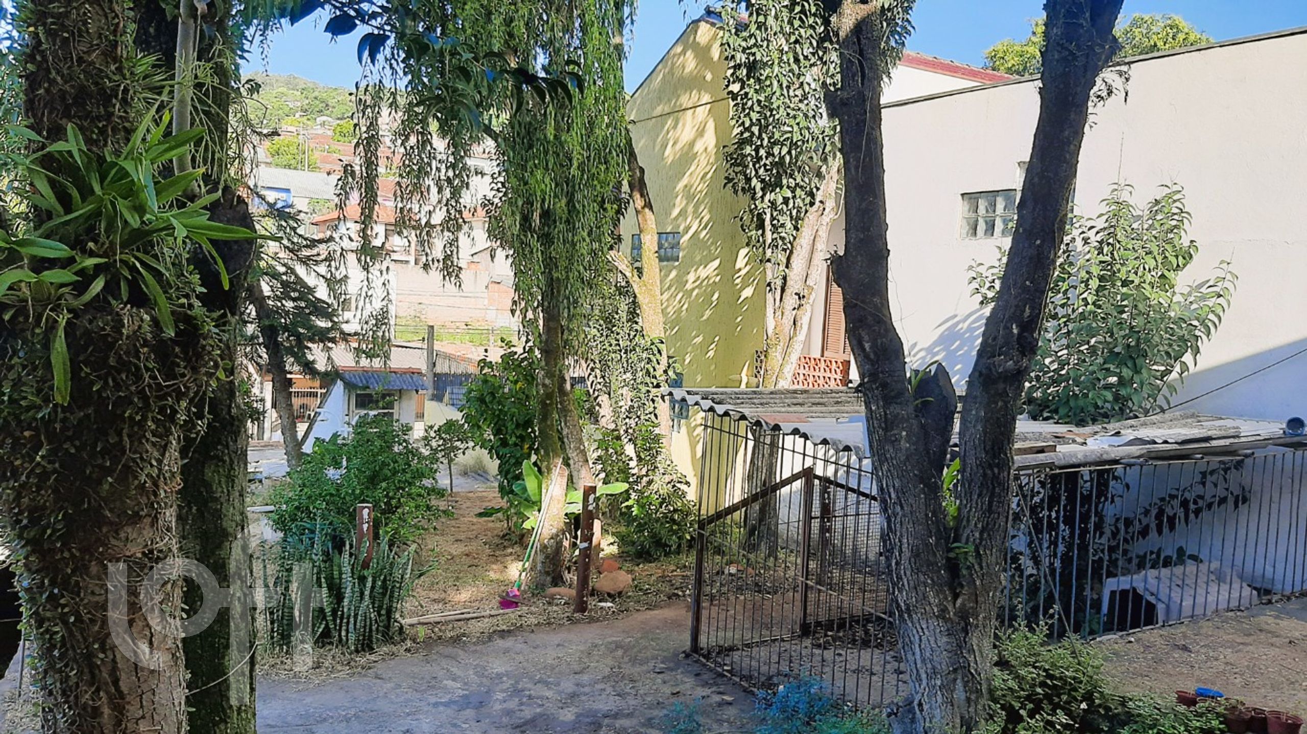 Imagem da propriedade 20