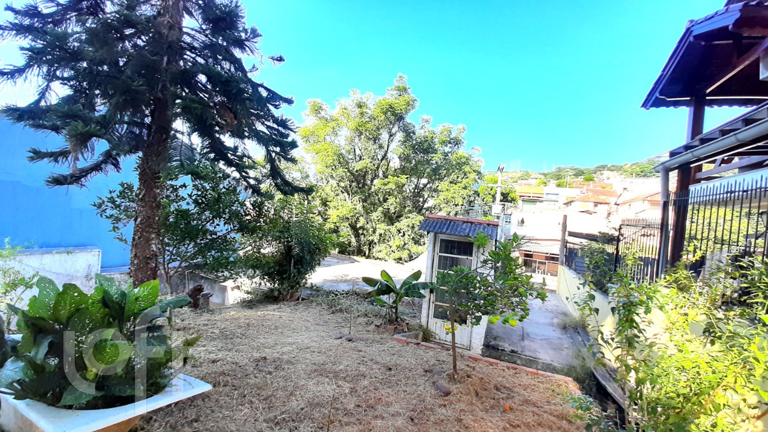 Imagem da propriedade 10