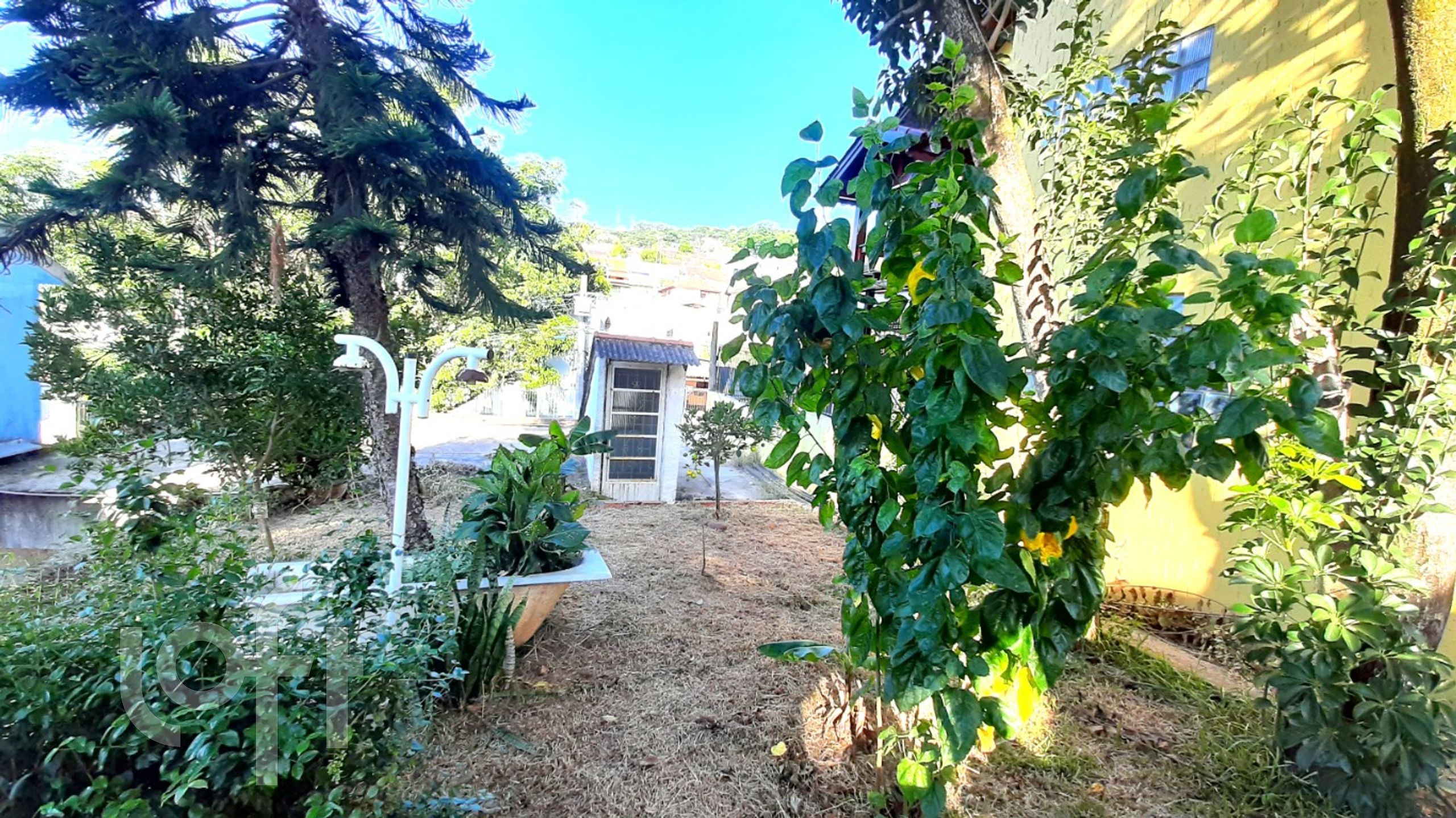 Imagem da propriedade 25