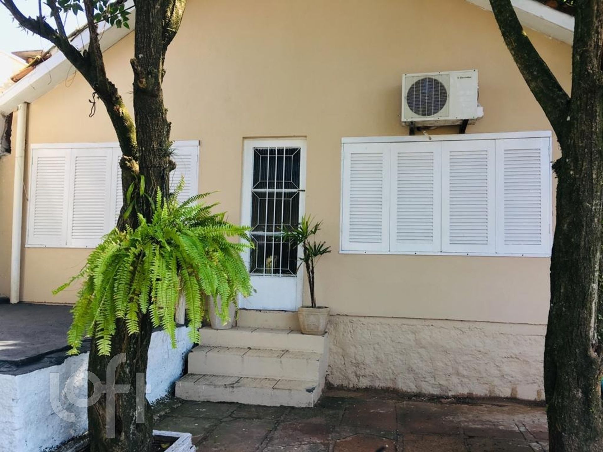 Imagem da propriedade 3