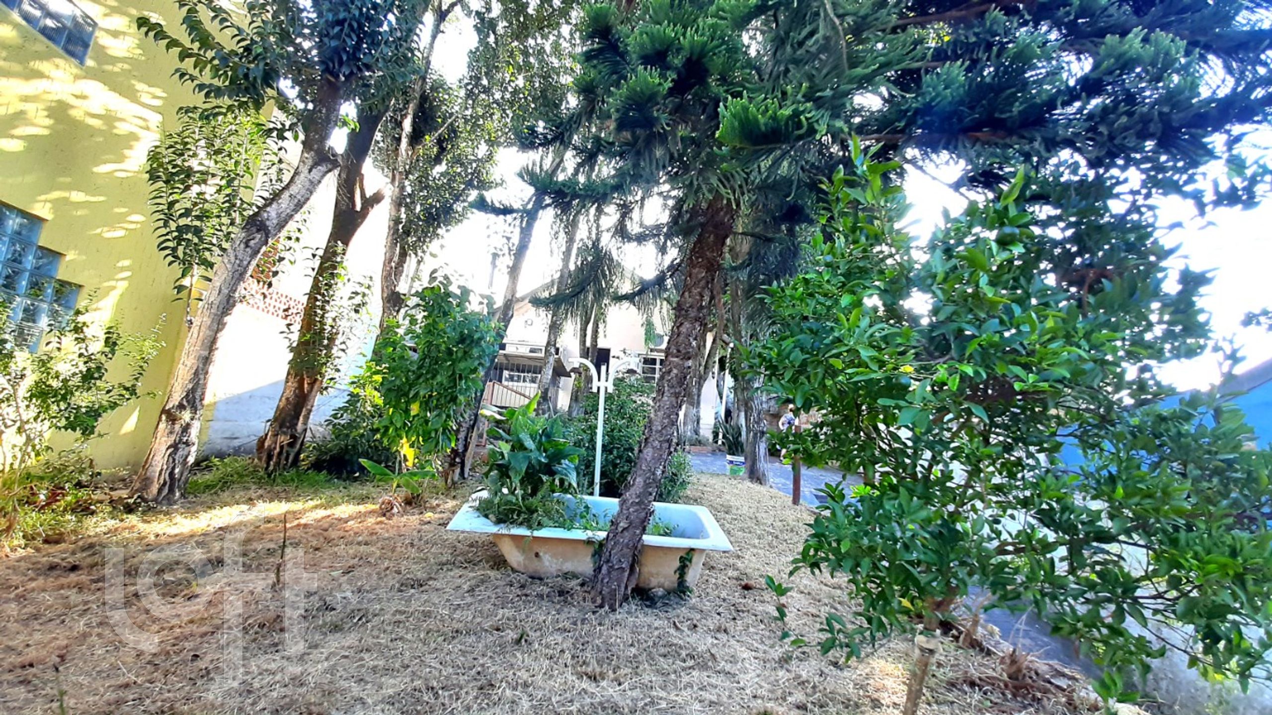 Imagem da propriedade 28