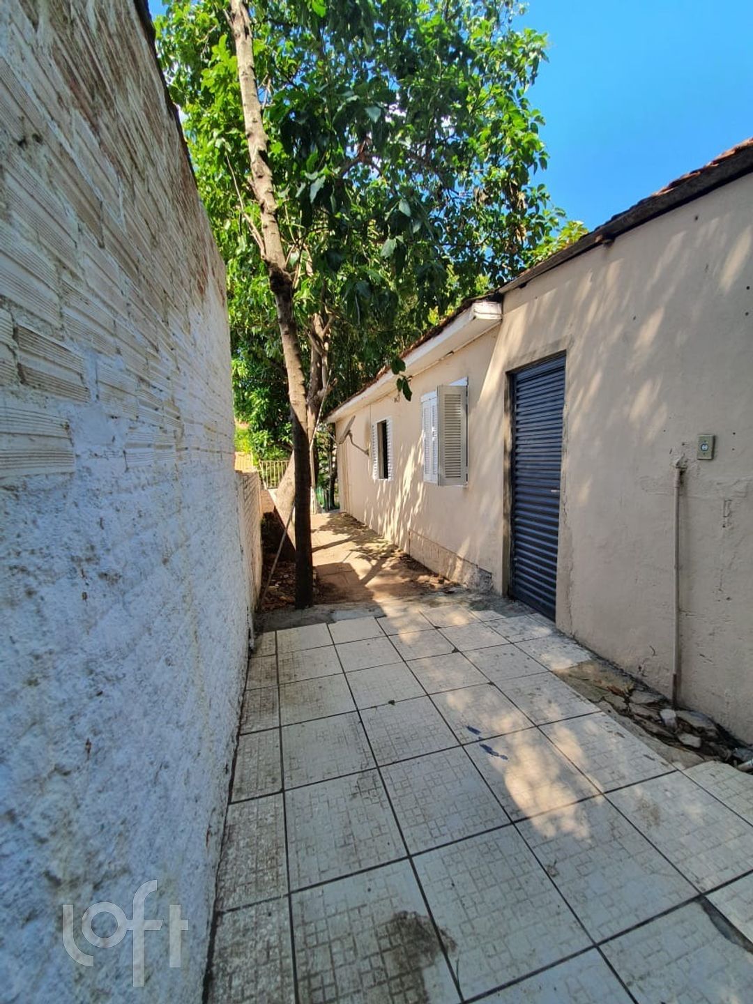 Imagem da propriedade 19