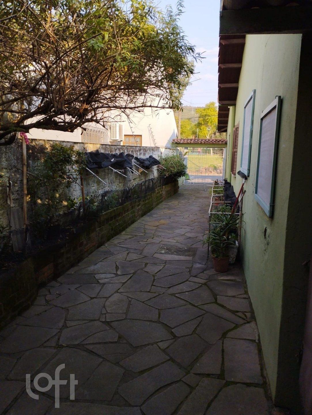 Imagem da propriedade 5