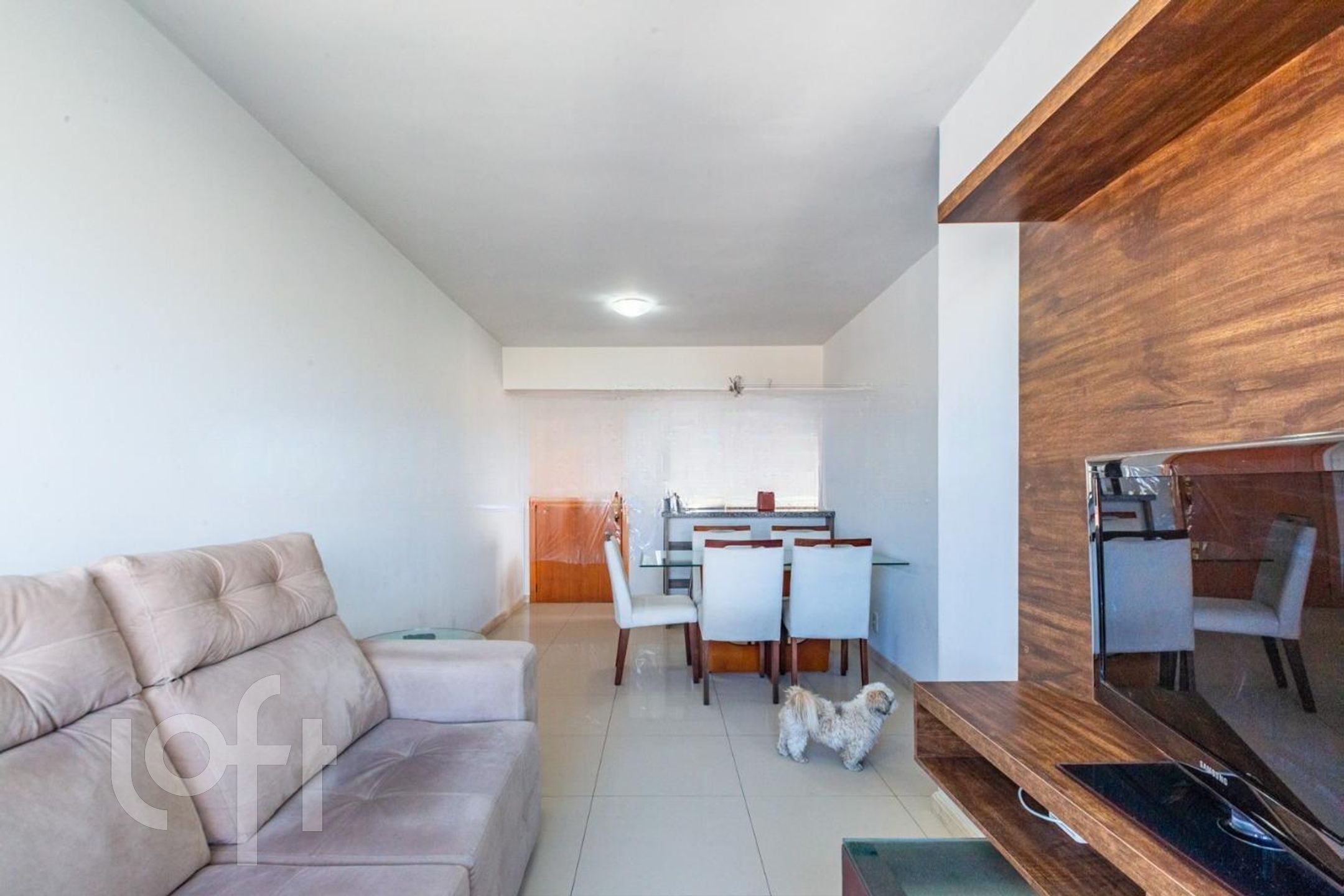 Imagem da propriedade 5